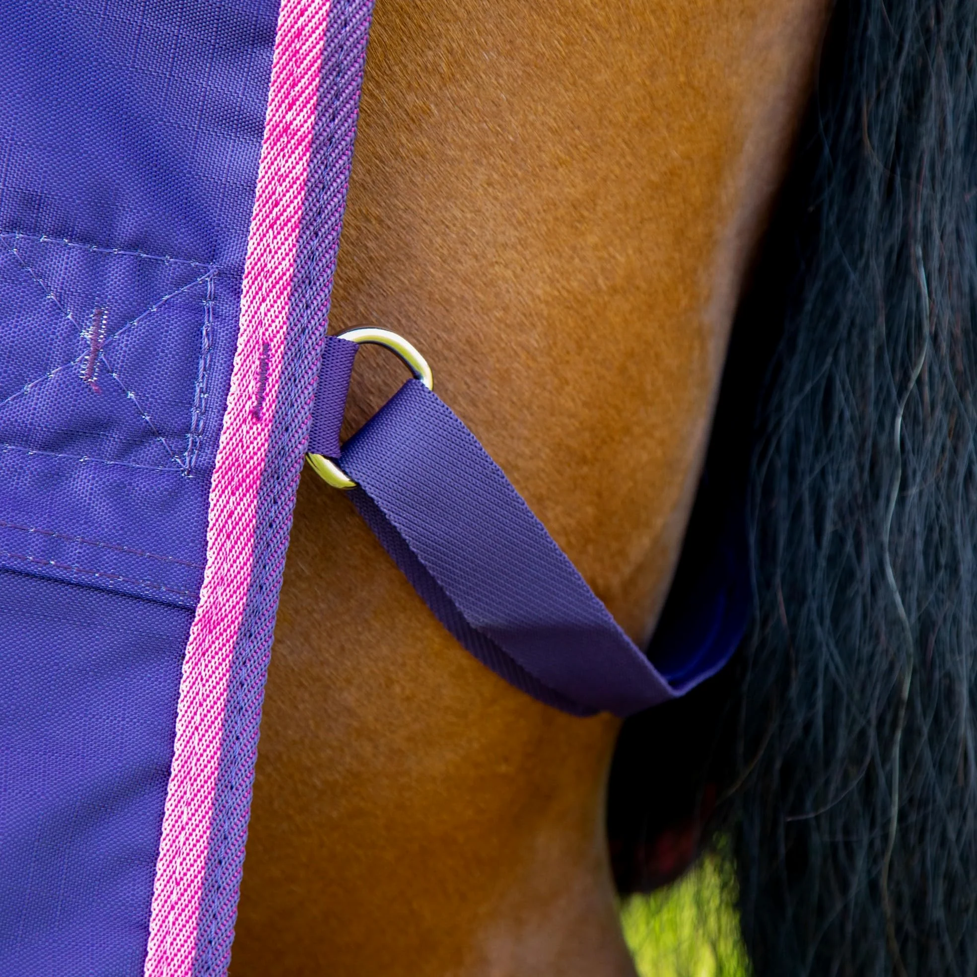 Tempest - Manta de Caballos para Ejercicio Original Diseño Teñida con Nudos (5' 3) (Marino, Rosa)
