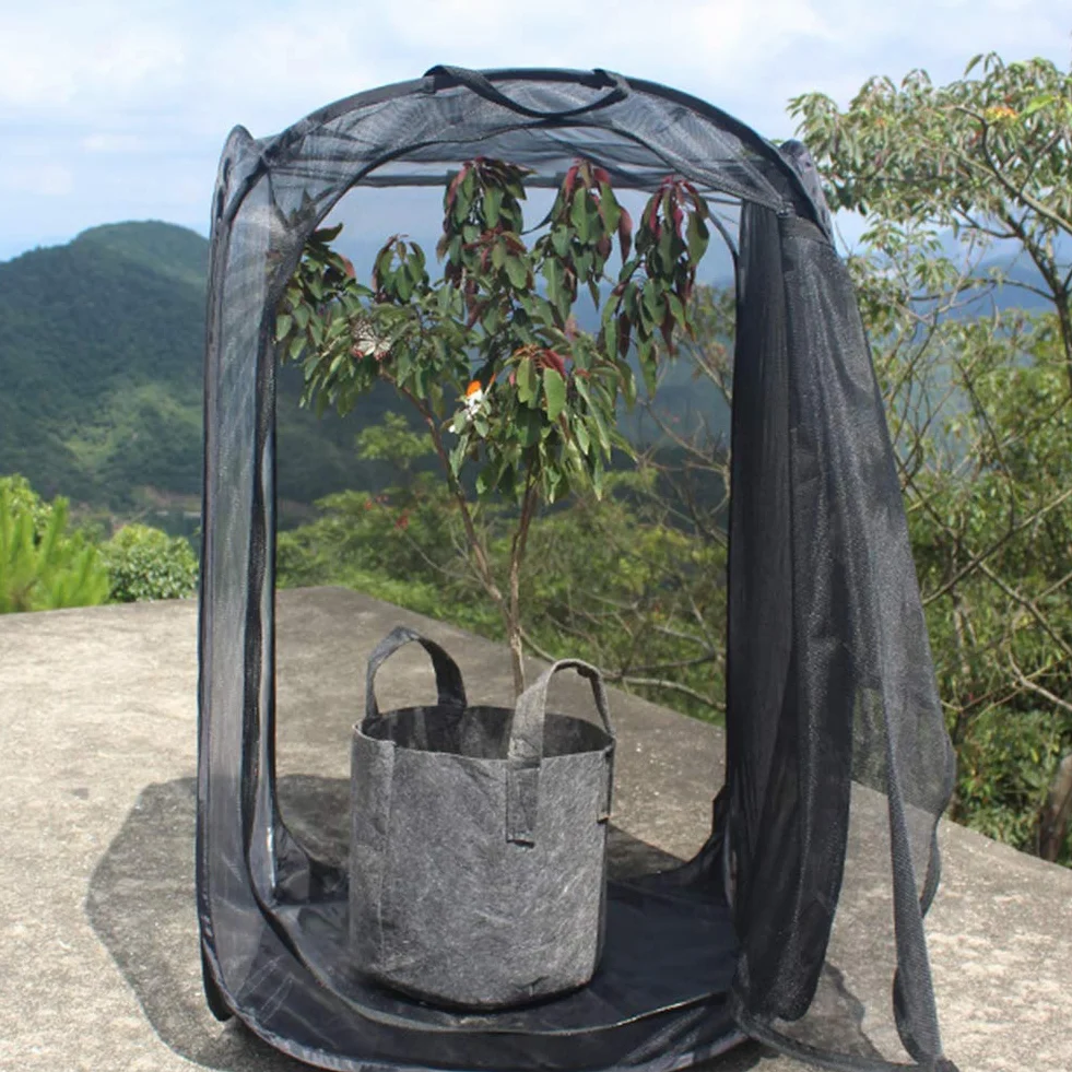 Hábitat para Insectos - Jaula de Malla para Insecto Palo, Oruga y Otros - Kit de Casa Red Terrario con Flujo de Aire
