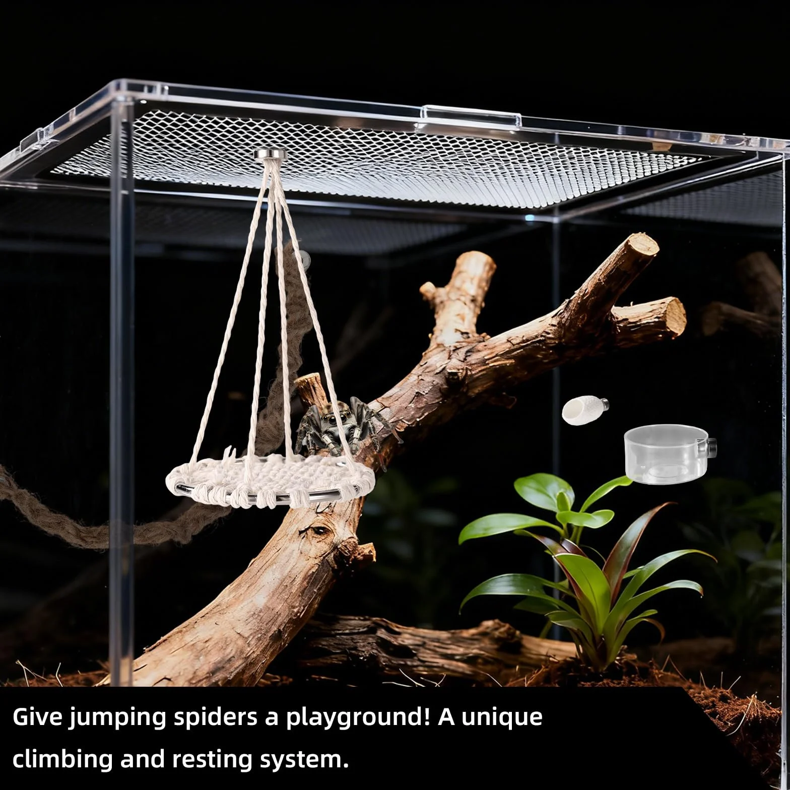 18uds Accesorios Araña Saltarina Terrario Juego, Columpio de Cuerda de Algodón Plataforma con Nido Bebedero Pinzas Pulverizador Cepillo e Imanes para Decorar Tu Terrario