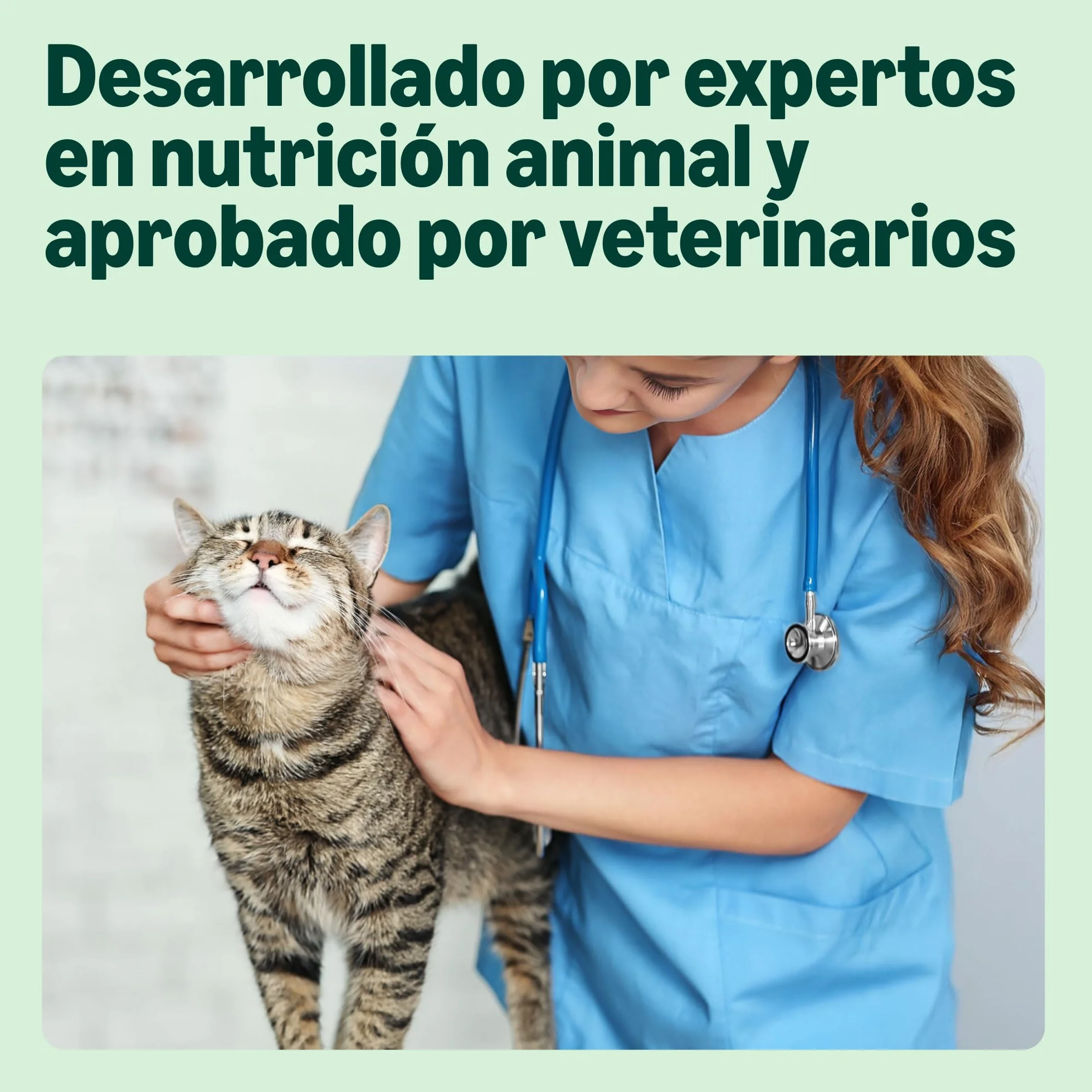 by Amazon - Alimento seco completo para gatos adultos con pollo, pavo y verduras, 1 Pack de 3 kg
