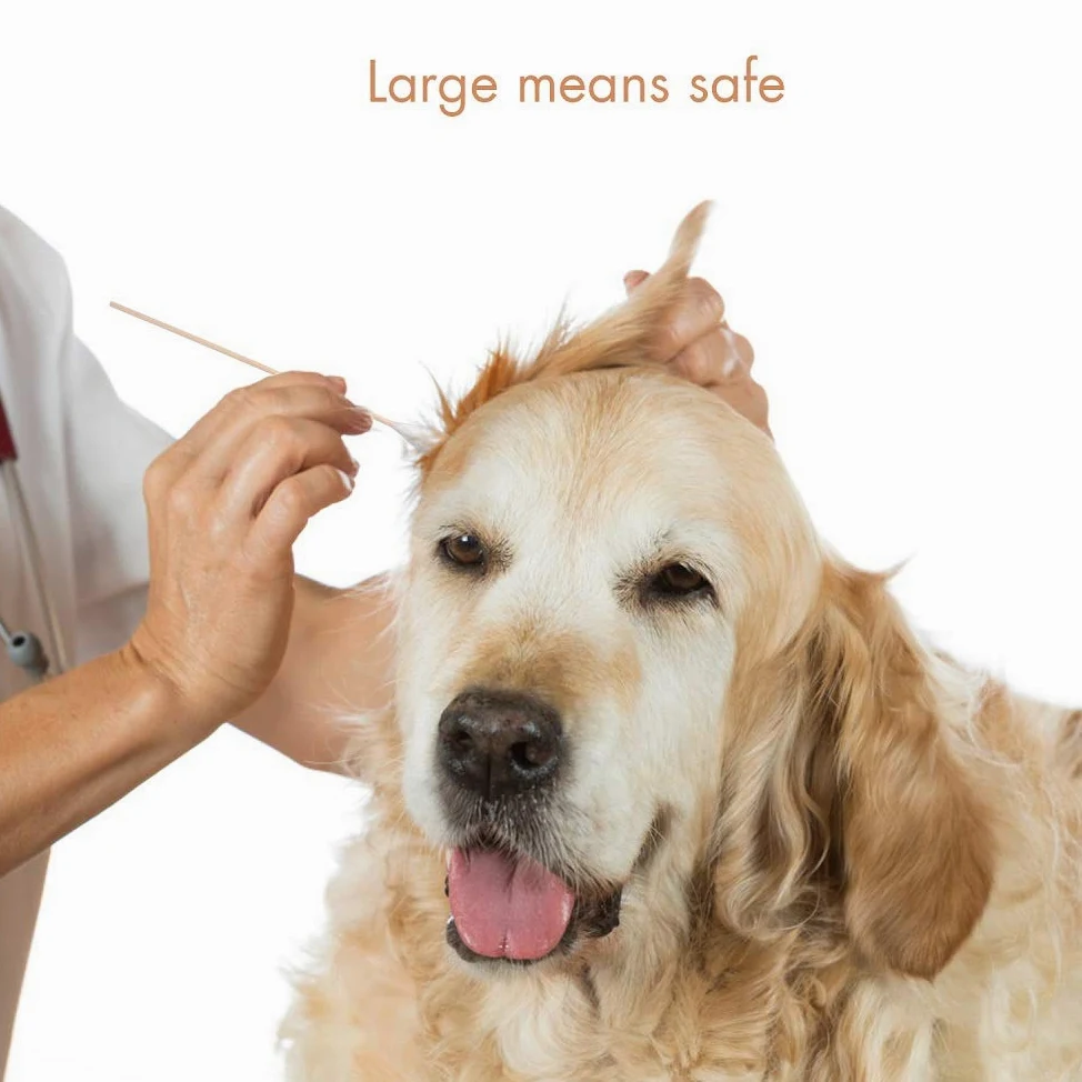 GLADOG Bastoncillos de algodón Profesionales Grandes de 6 Pulgadas para Perros, Especialmente diseñados con Mango de Madera, Grandes Significa Seguros