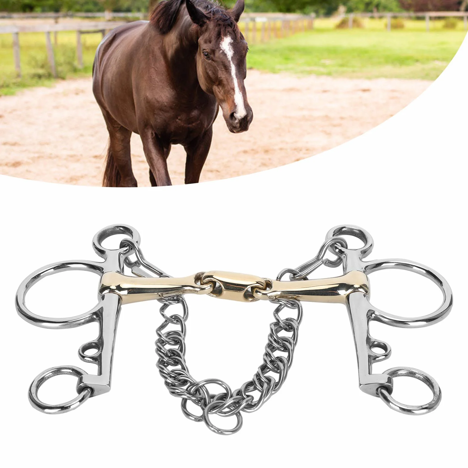 Pelham, acero inoxidable Pelham, broca Pelham de boca articulada, broca para caballo, accesorio para broca Pelham de acero inoxidable
