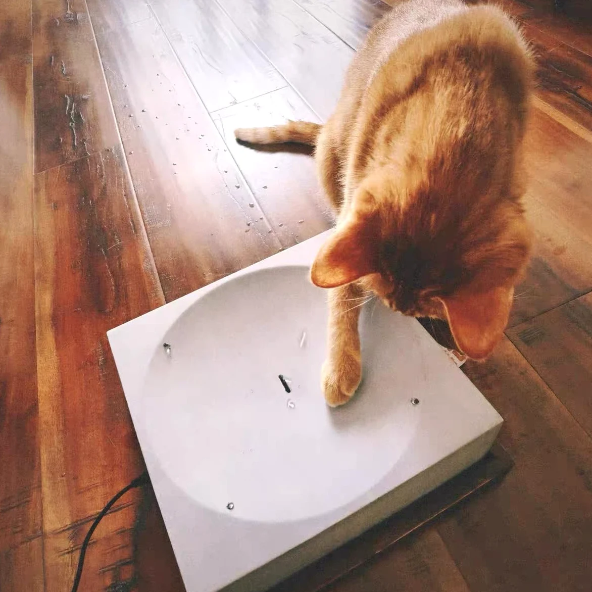 Juguete eléctrico para gatos, diseño automático de gotas de agua para mascotas de interior, juego interactivo para gatos y perros, decoración moderna del hogar