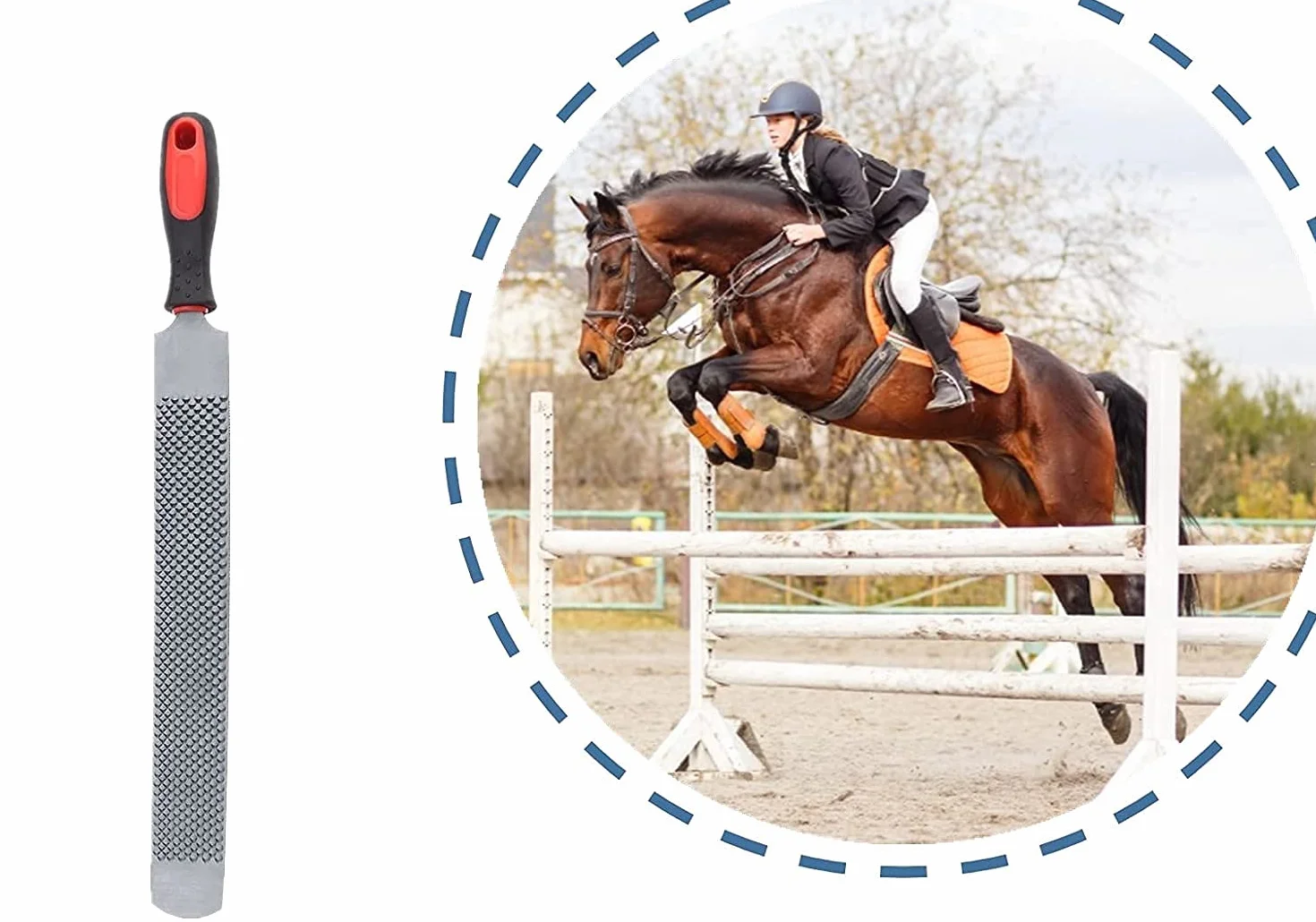 Zerodis Herramientas de Corte de pezuña Raspador de pezuña de Doble Cara Archivo de pezuña de Caballo Cuidado de pezuñas para Caballos Herramienta Profesional de herrador