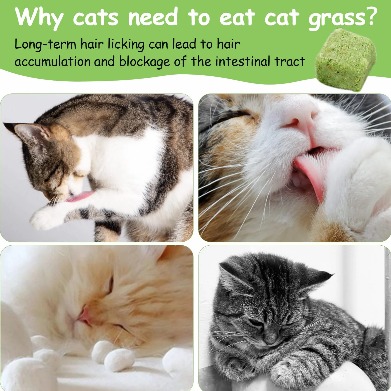 Snacks para Gatos, 60g Snack Liofilizado con Hierba Gatera para Limpiar los Dientes