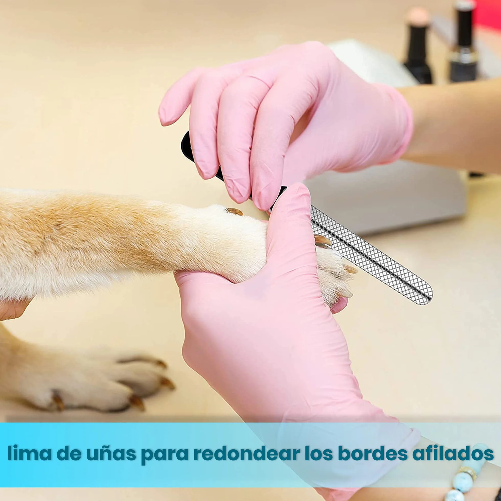 Candure Cortauñas para Perro y Gato con Mascota Protector de Seguridad - Acero Inoxidable Alicates Uñas Profesionales para Mascotas Perros, Gatos, Conejas y Veterinaria Utilizar 6" Pulgadas