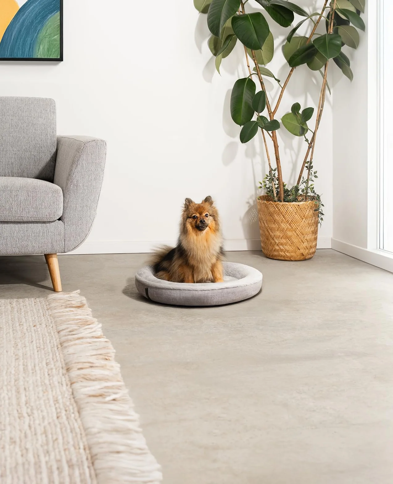 Lionto Cama Redonda para Perros con Forma de Donut, Cojín Sofá, 55 cm Ø Gris