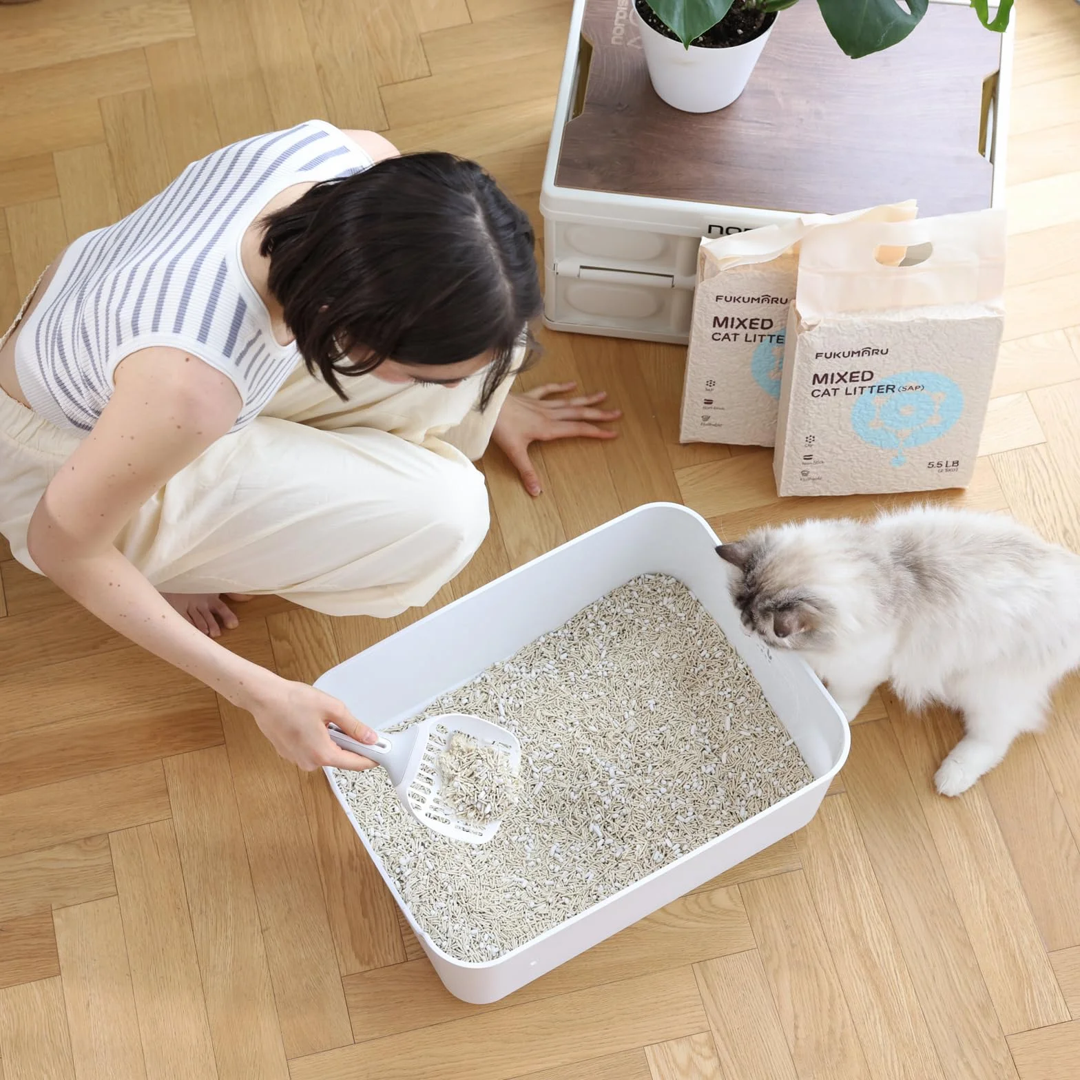 FUKUMARU Arena de Tofu para Gatos 10.8 kg, Arena aglomerante rápida para Gatos con Material superabsorbente, absorción instantánea, sin Polvo, bajo Rastro, Control de olores