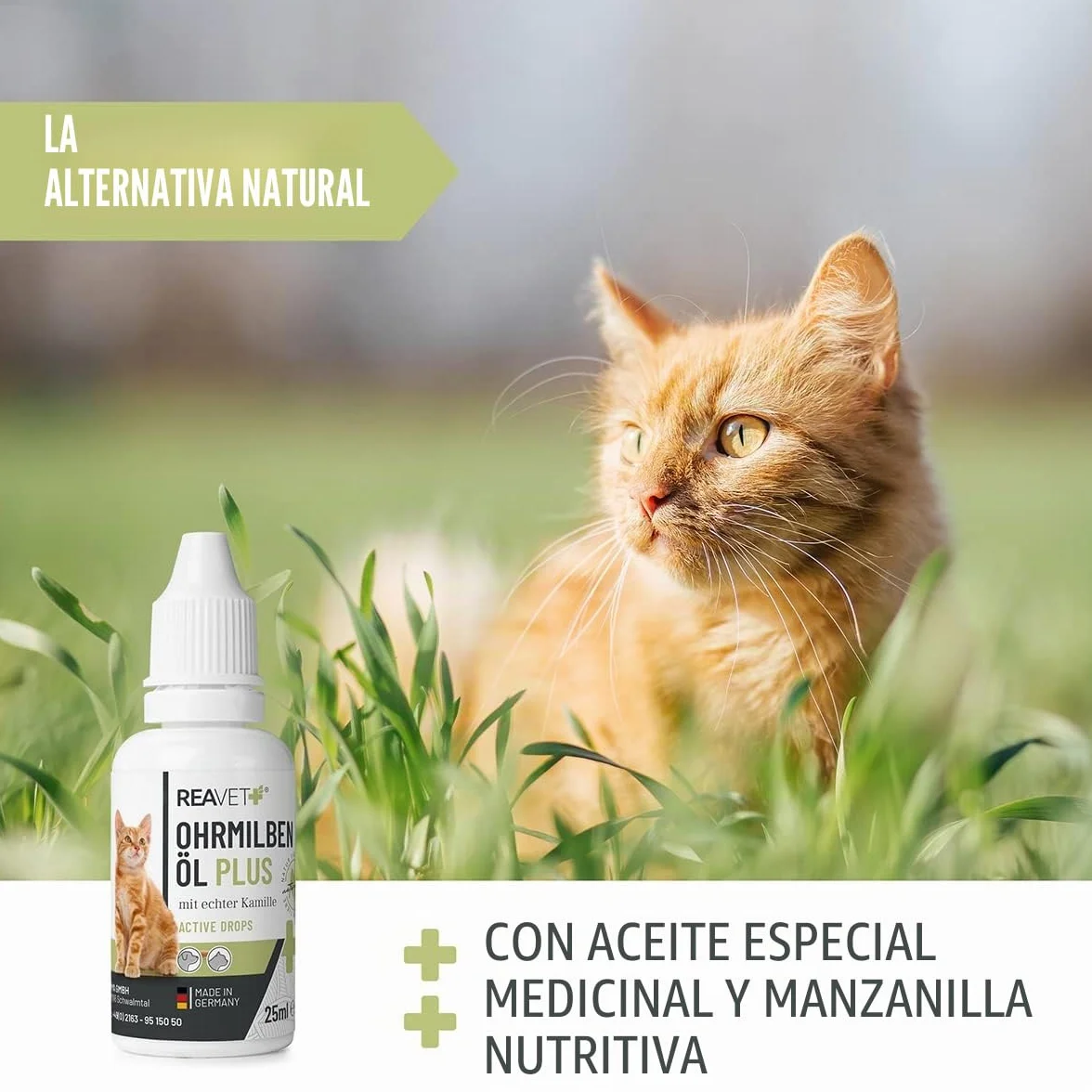 ReaVET Aceite de ácaros del oído Plus 25 ml para gatos de inmediato – contra los ácaros del oído con manzanilla para gatos, cuidado suave en caso de picazón en el oído, gotas para los oídos, ácaros,
