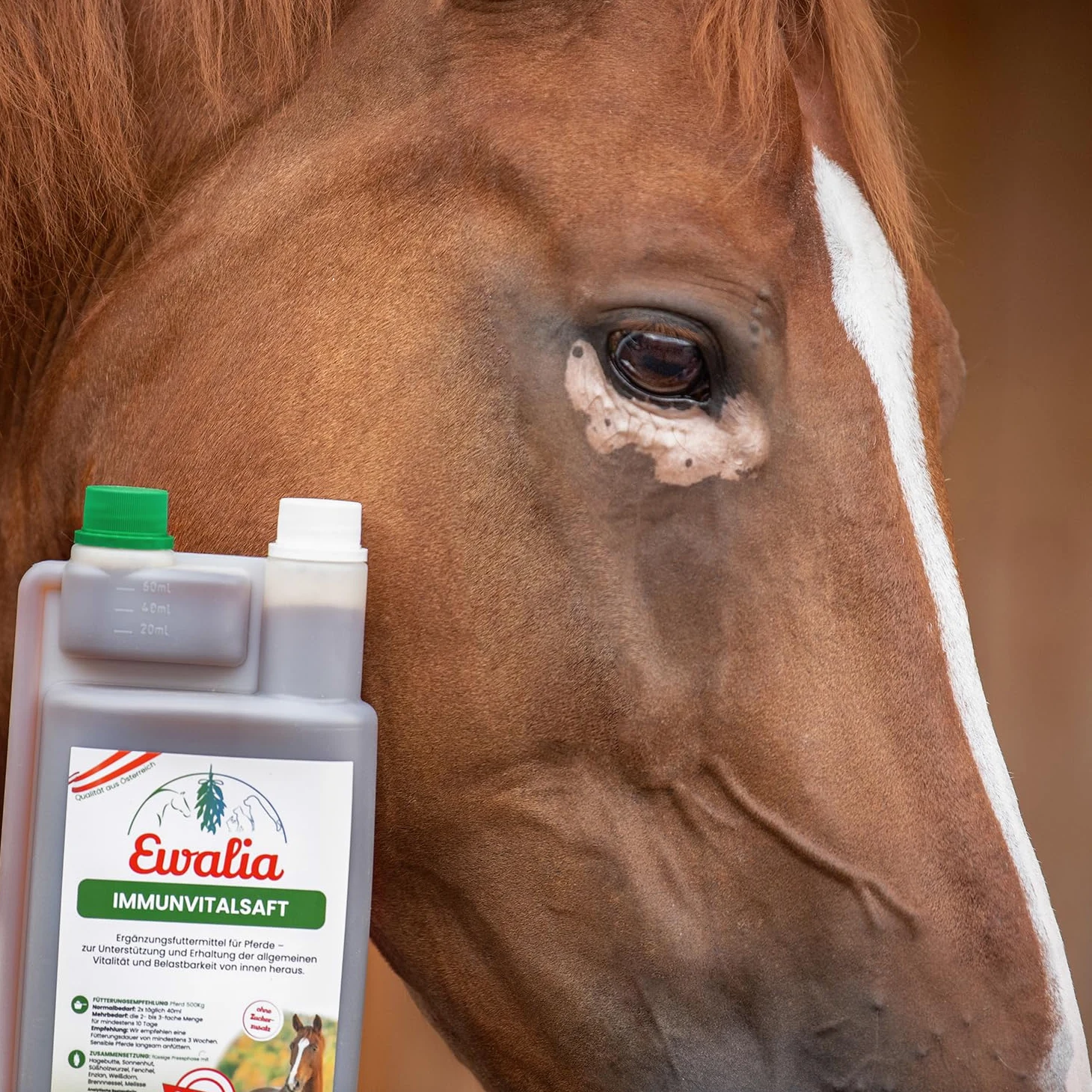 EWALIA Immunvital Zumo - Fortalecedor complementario para caballos, promover el bienestar general, soporte de vitalidad natural y resiliencia, 100% natural puro, 6 x 1 litro