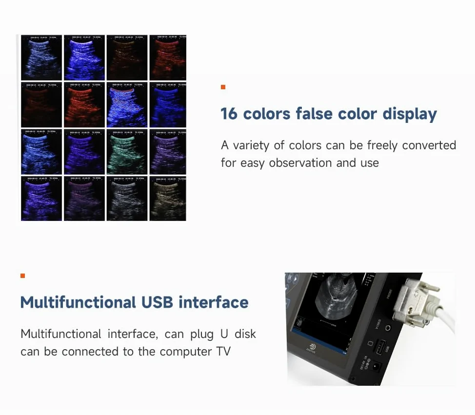 16 HD Máquina de ultrasonido veterinario pseudocolor, escáner de 5.0 MHz para detección de embarazo en cerdos, ovejas, perros, gatos