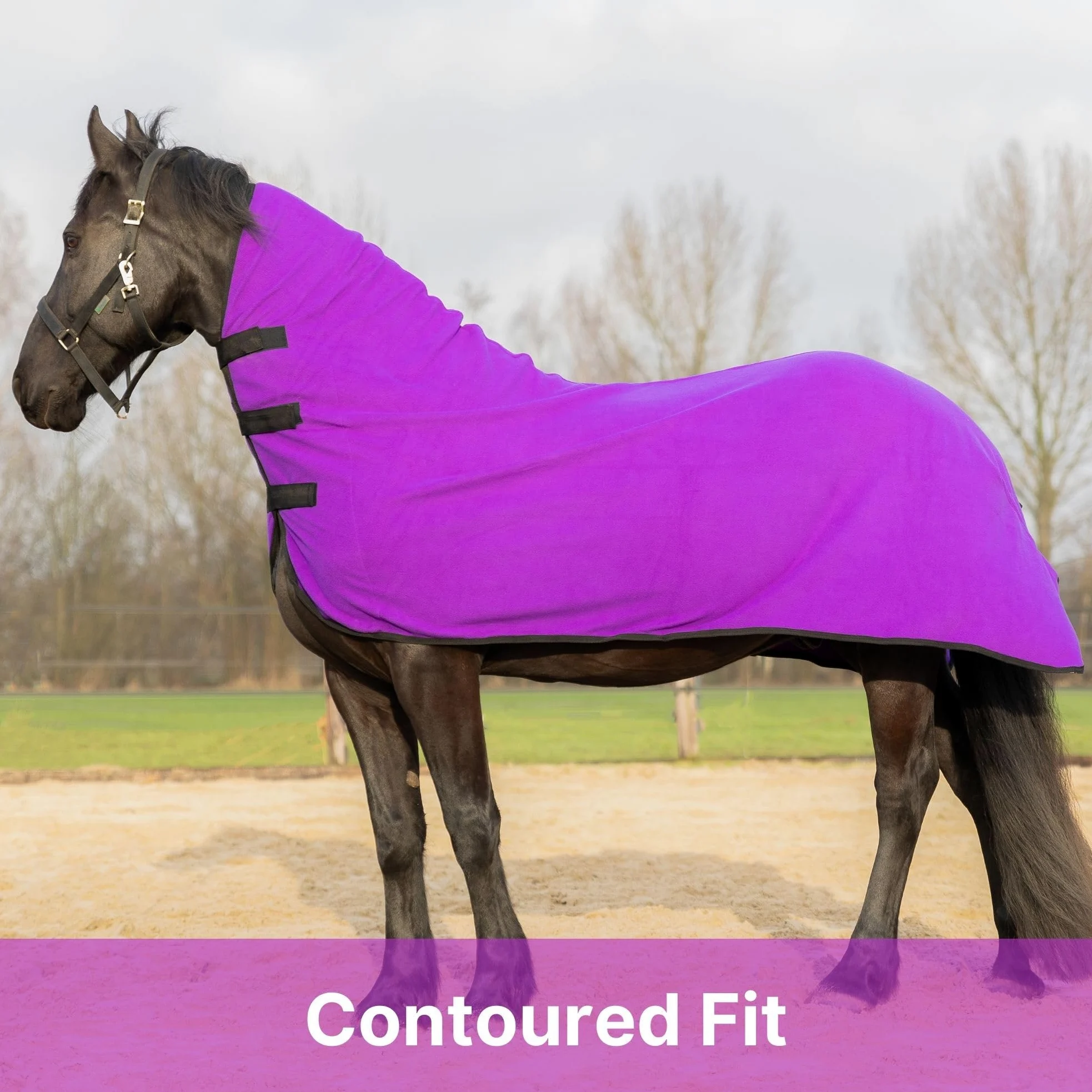 RESISTANCE Enfriador de contorno de forro polar suave de larga duración y cálido para caballo (XL (80-82 pulgadas), morado