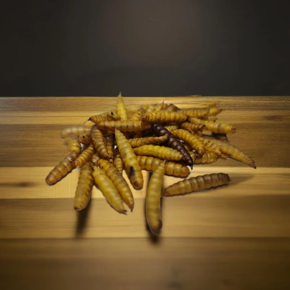 Larva Mosca Soldado Negra BSF deshidratado 500gr