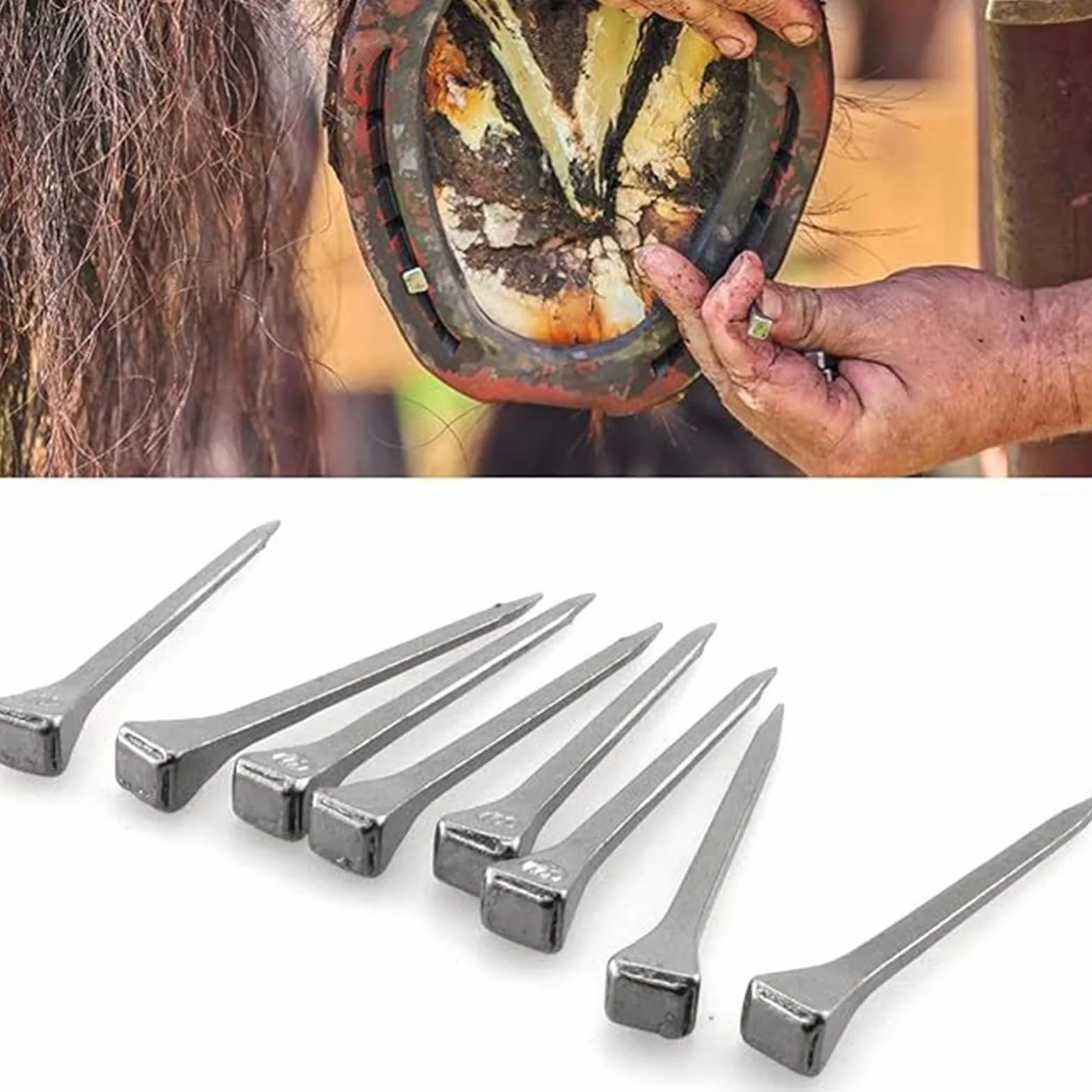 Clavos de Herradura,Material de Acero Des Clavos Des Caballo,Equipo Deportivo Ecuestre Acero,Clavo para Pezuñas,Clavo da Herradura da Aceros,Clave di Pezuña di Aceros