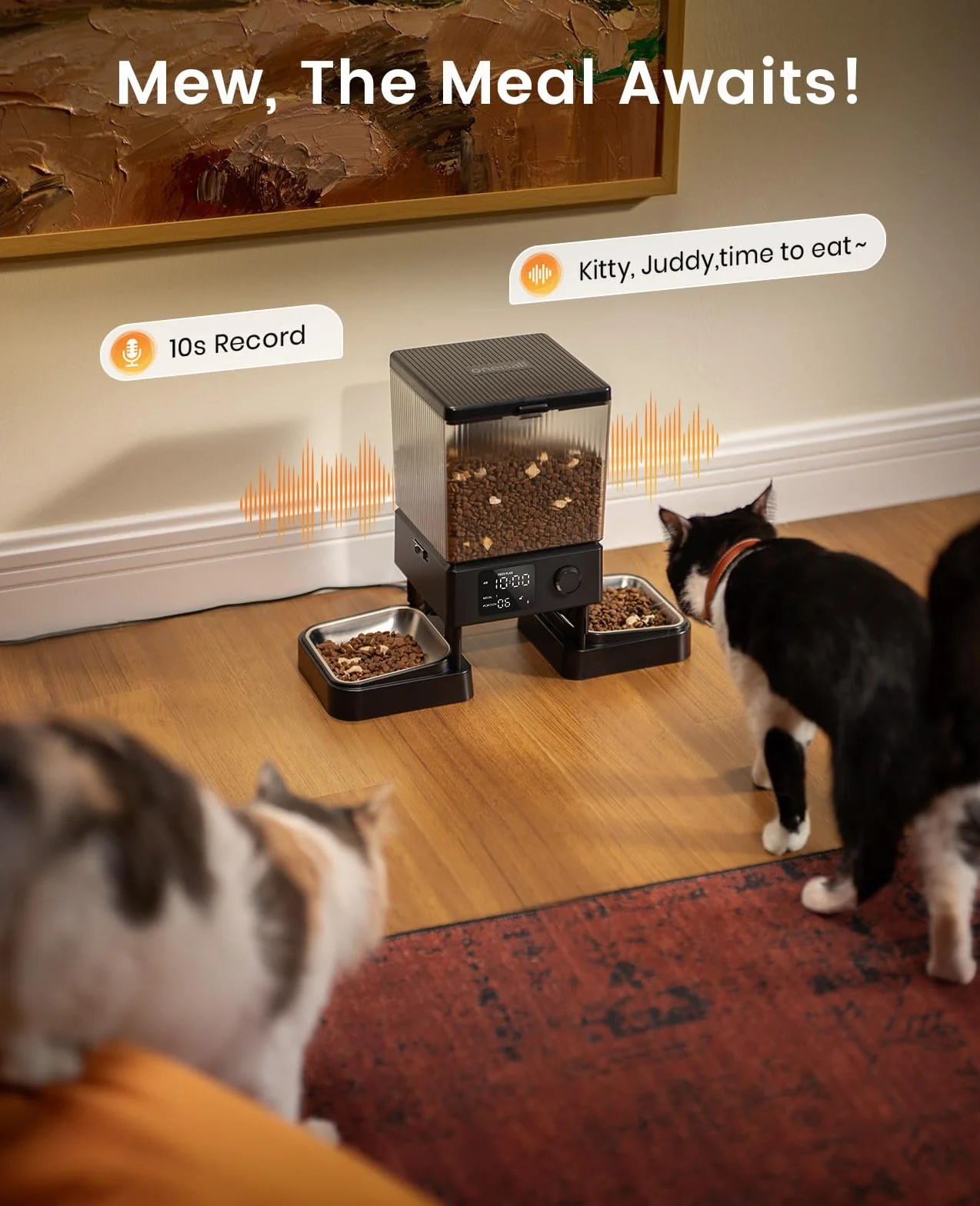 oneisall 5L Comedero automático para Gatos (WiFi)