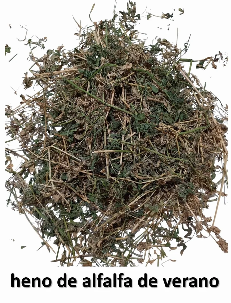 6kg Heno de Alfalfa – Directamente del Agricultor en España
