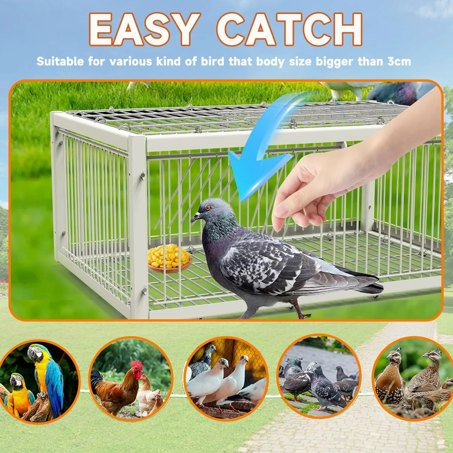 Jaula for Palomas Trampa for pájaros con Entrada unidireccional, Trampa for Animales, Exterior, fácil de Montar, Trampa for pájaros(White,60 * 40cm)