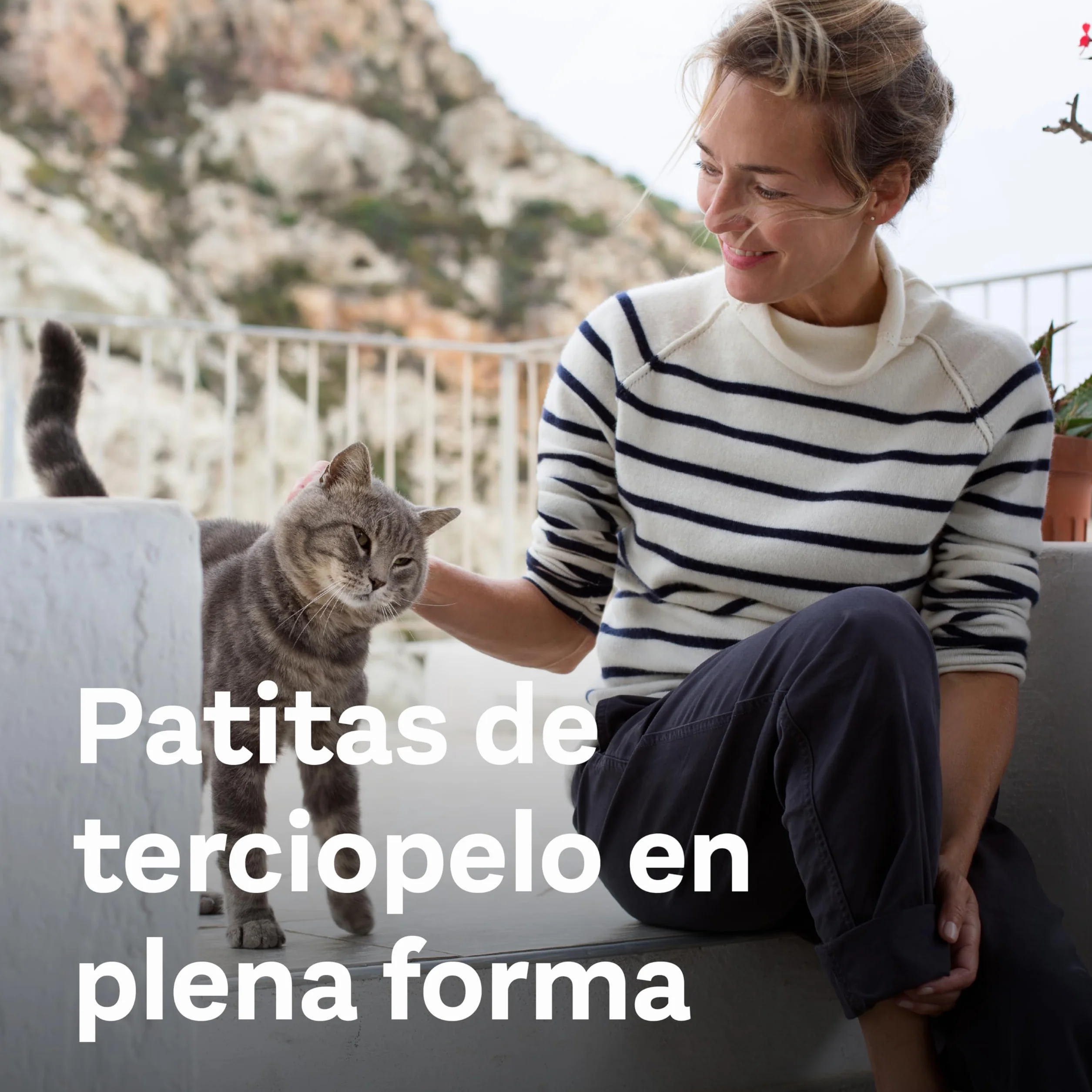 Doppelherz Complejo articulaciones para Gatos, Ayuda al metabolismo de Las articulaciones en Caso de osteoartritis, 25 cremosos pellizcos