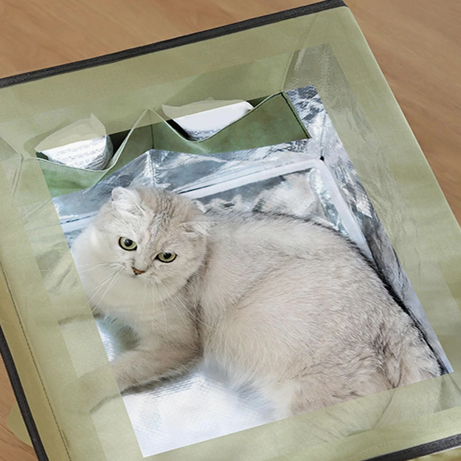 Casa de refrigeración para mascotas, para gatos, sala de enfriamiento aislada, con aire acondicionado, para gatos y perros, para interiores y exteriores, refugio para gatos
