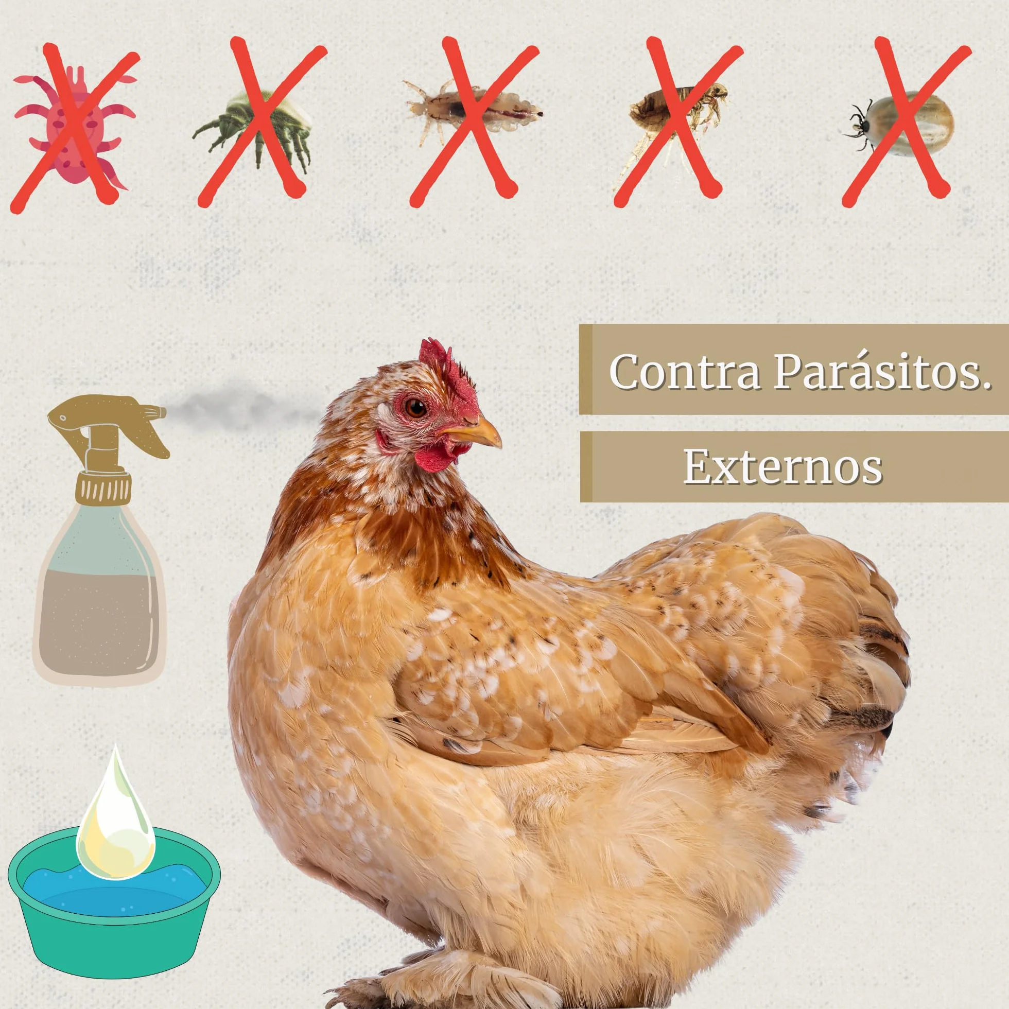 Preventivo Parasitos Natural 250 ml - Gallinas, Aves de Corral y Exóticas - Extracto de Citronela y Clavo - Fórmula Natural - Excare