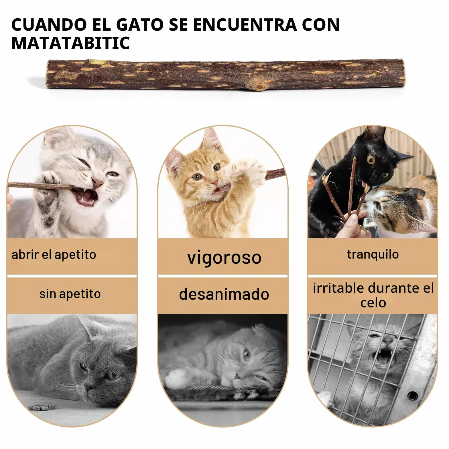 Juguete Gato,Palitos Masticables Matatabi para Gatos,Juguete para morder para Gatos Natural Matatabi Dental,Paquete de 30 Unidades