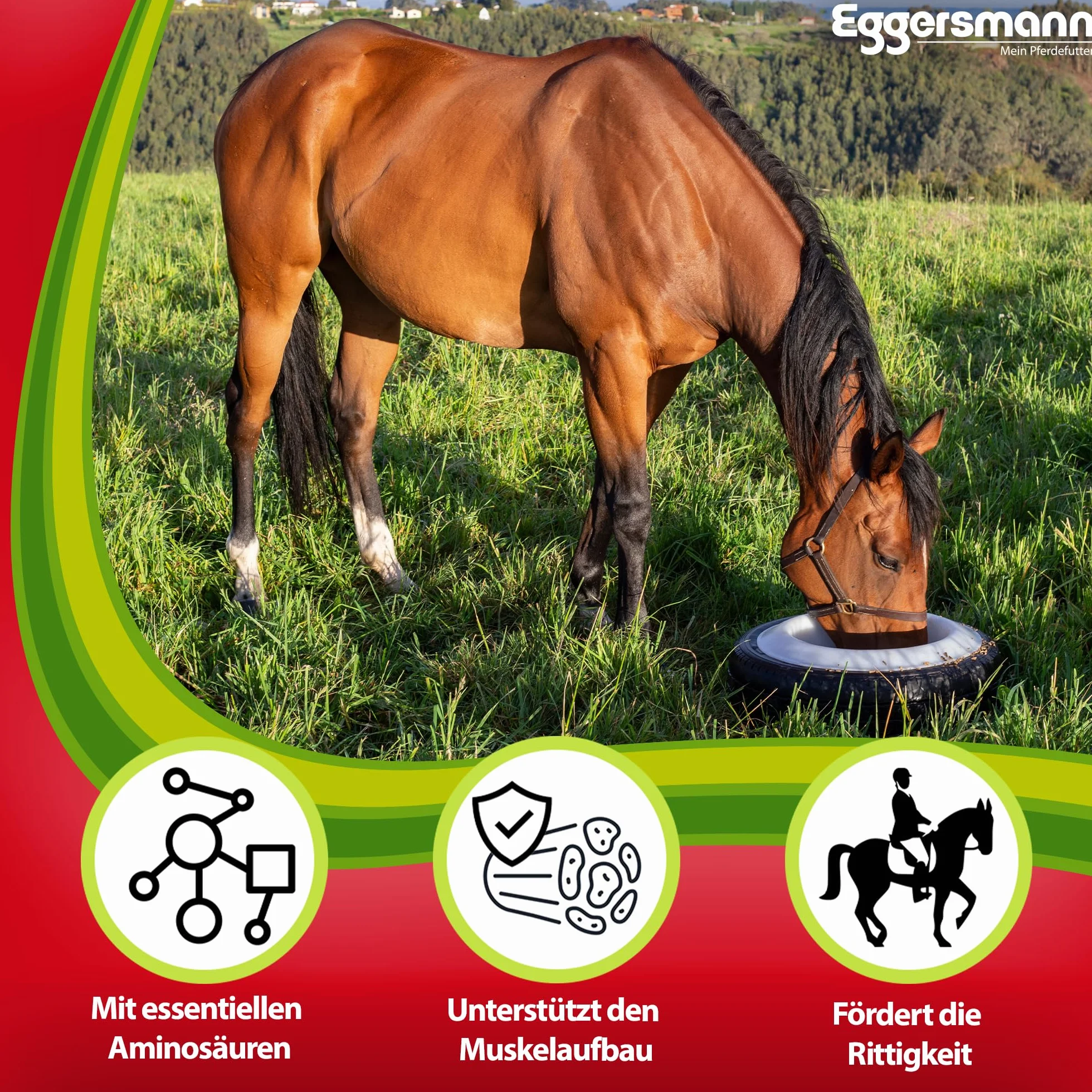 Forro Complemento para una Suelta y elástico Musculatura, Eggers Muñeco aminoral para Caballos, 1 Unidades (1 x 6 kg)