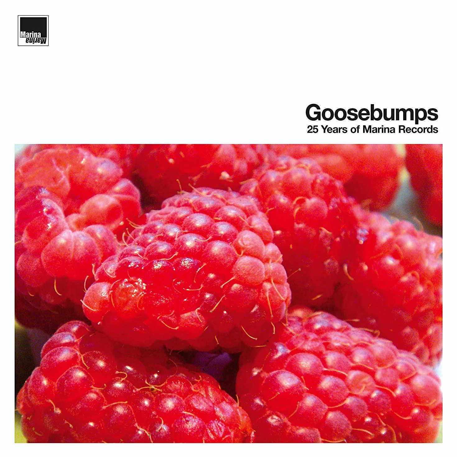 Goosebumps 25 Years Of Marina Records