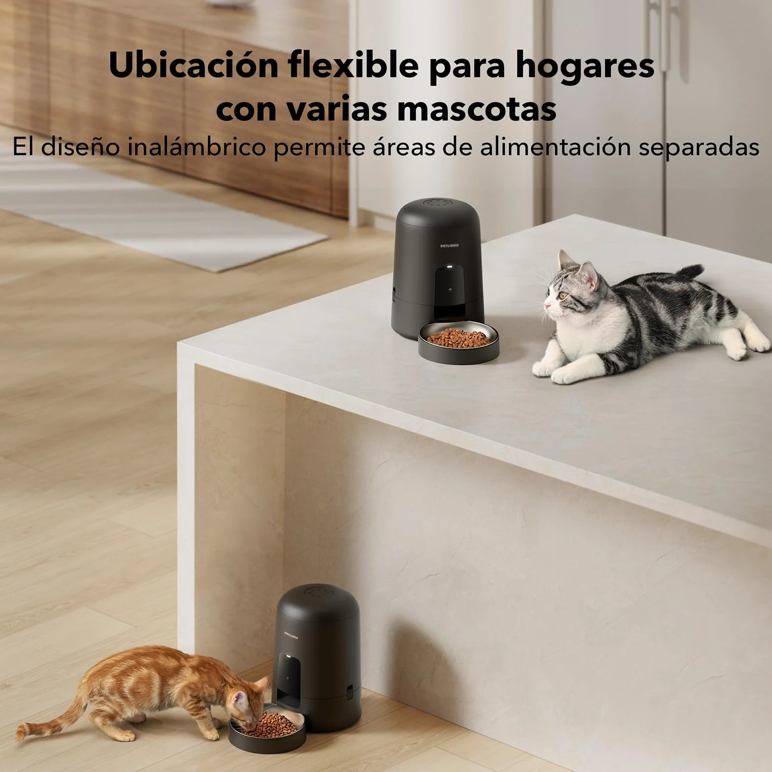 PETLIBRO Comedero Gato Automatico, 2.4G WiFi Funciona con Pilas, Dispensador Comida Seca Gatos/Perros, Control de App, 1-10 Comidas al Día, Automático Mascotas Sin Cable para Gatos, 2L, Negro