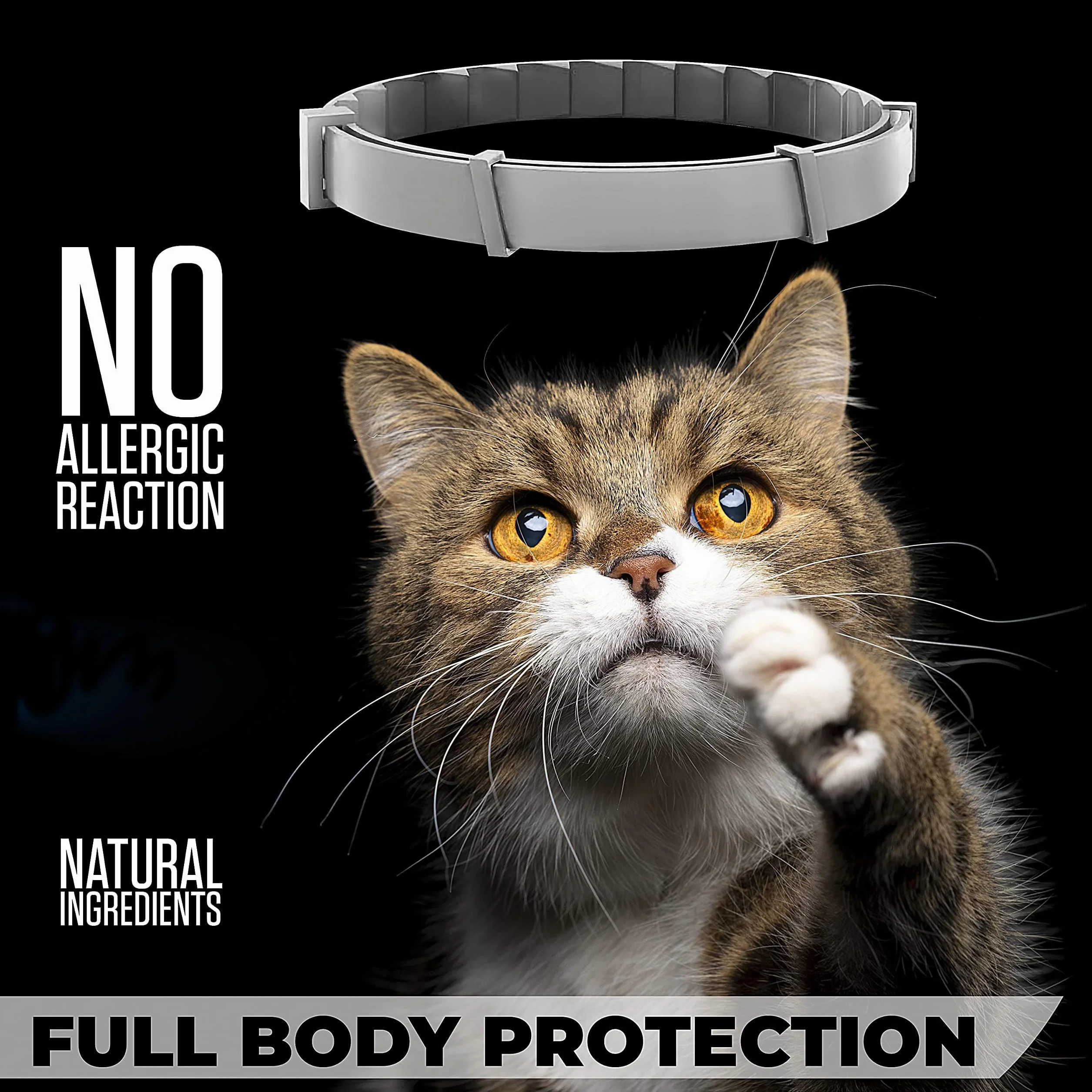 4 Collares antiparasitarios para Perros y Gatos, 38CM 8 Meses de protección, Collar antipulgas para Perros y Gatos, Ajustable, Collar antipulgas para Todos los Dog Cats