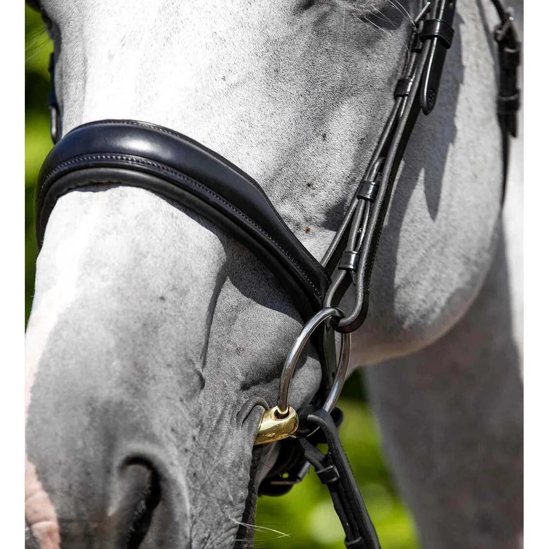 Premier Equine Verdura Anatomic Snaffle Bridle, color negro extra completo