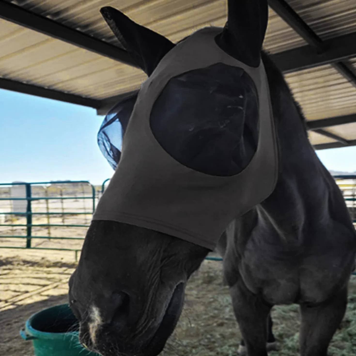 Máscara antimoscas para caballos con orejeras, malla transpirable anti-UV, elástica (negro)