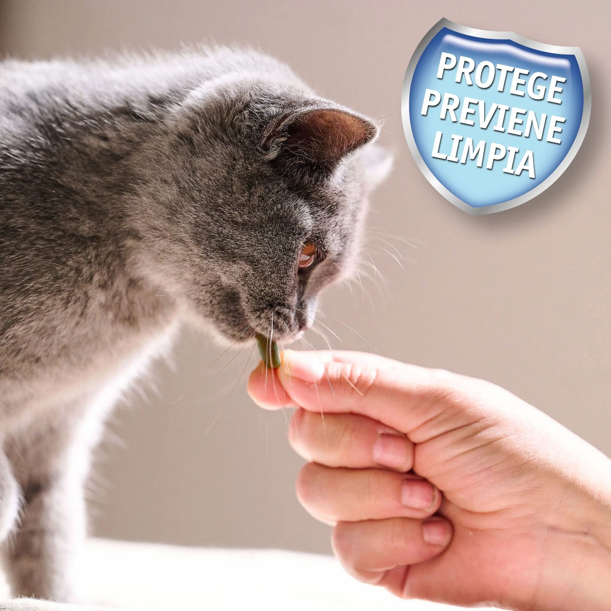 Beaphar - Snacks Dentales para Gato, Anti Placa y Anticarro, Clorofila Natural, 35 g
