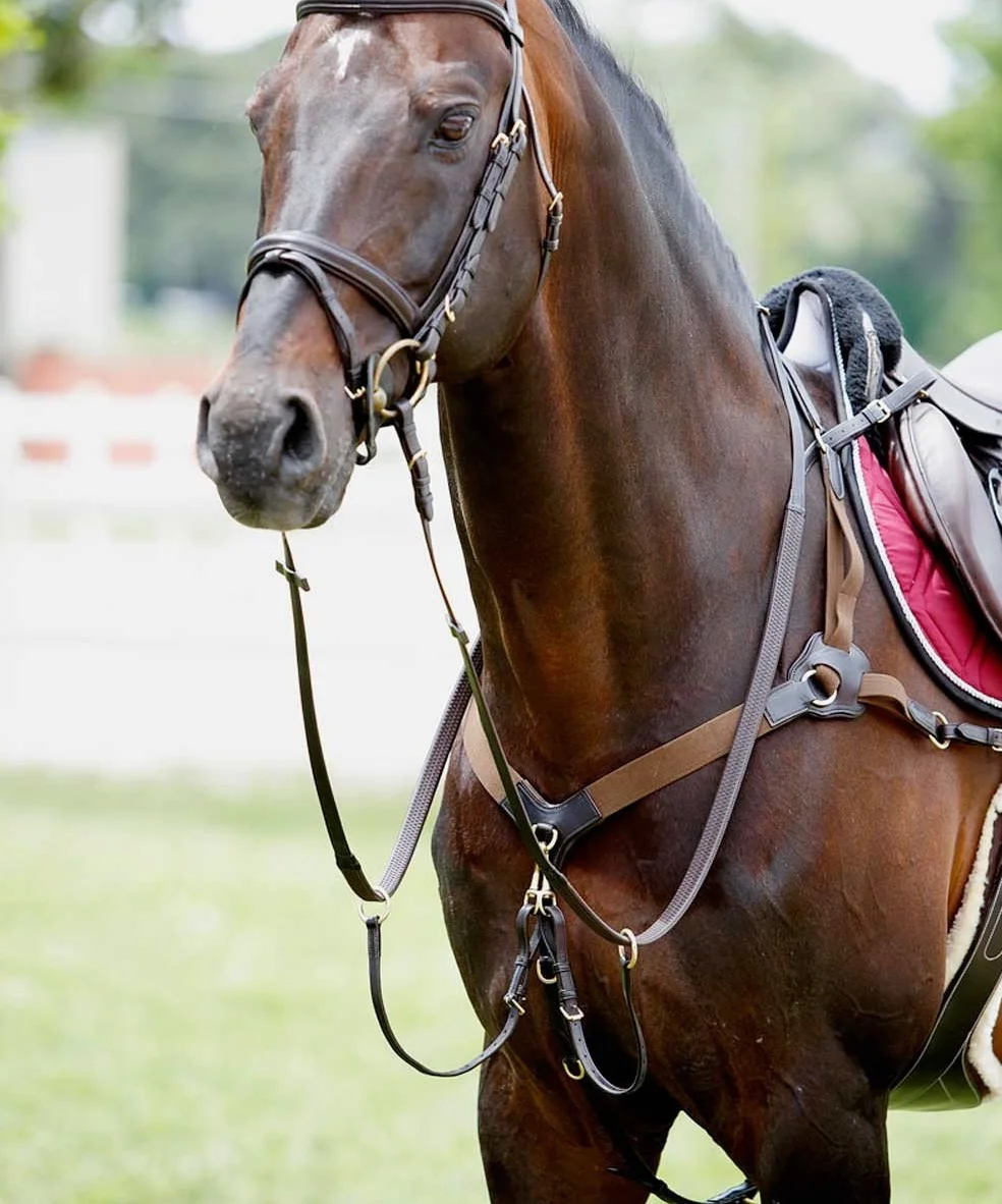 Tattini Collar de Caza para Caballos con martingala