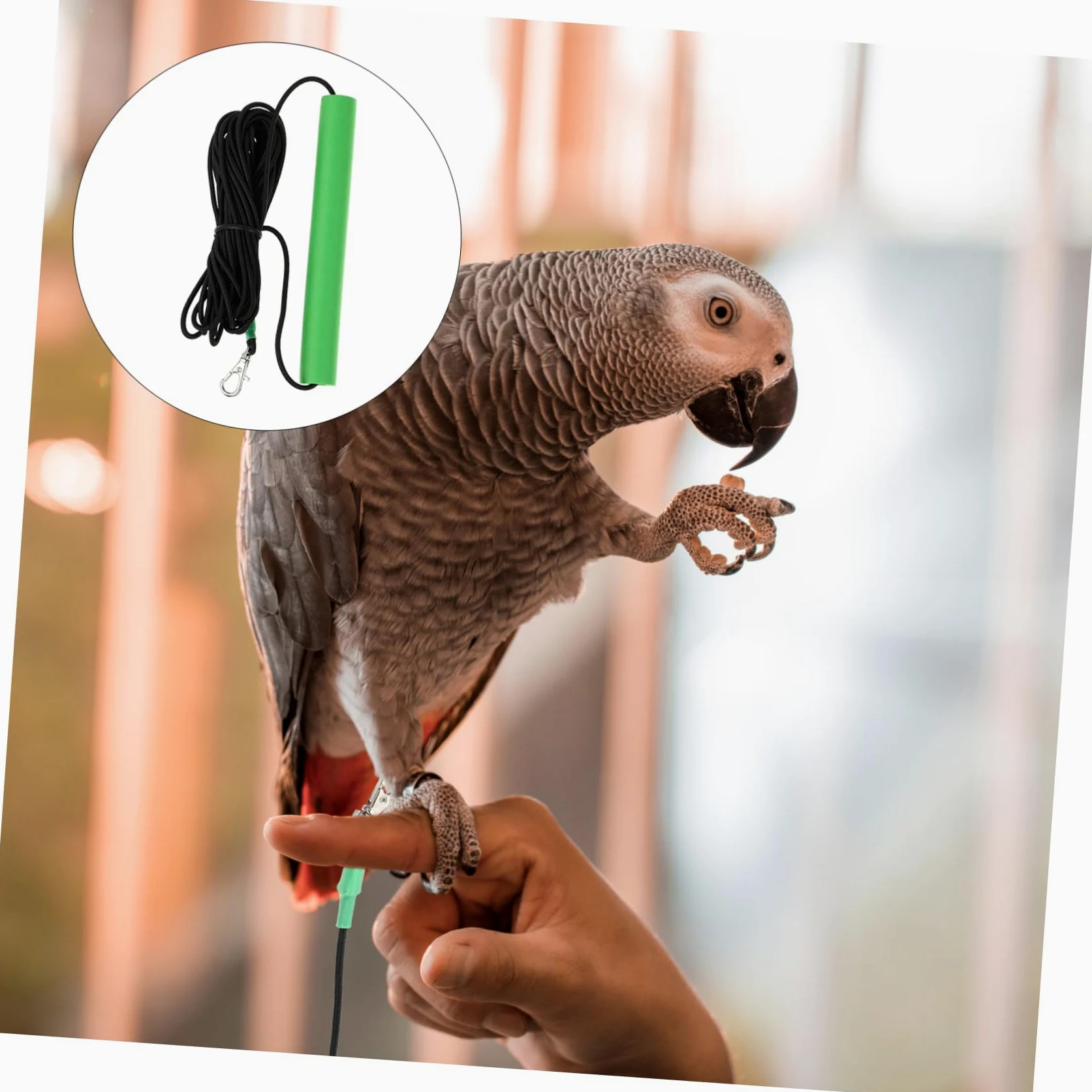 2 Correas de Nailon para Loros Resistentes Y Cómodas Ideales para Volar al Aire