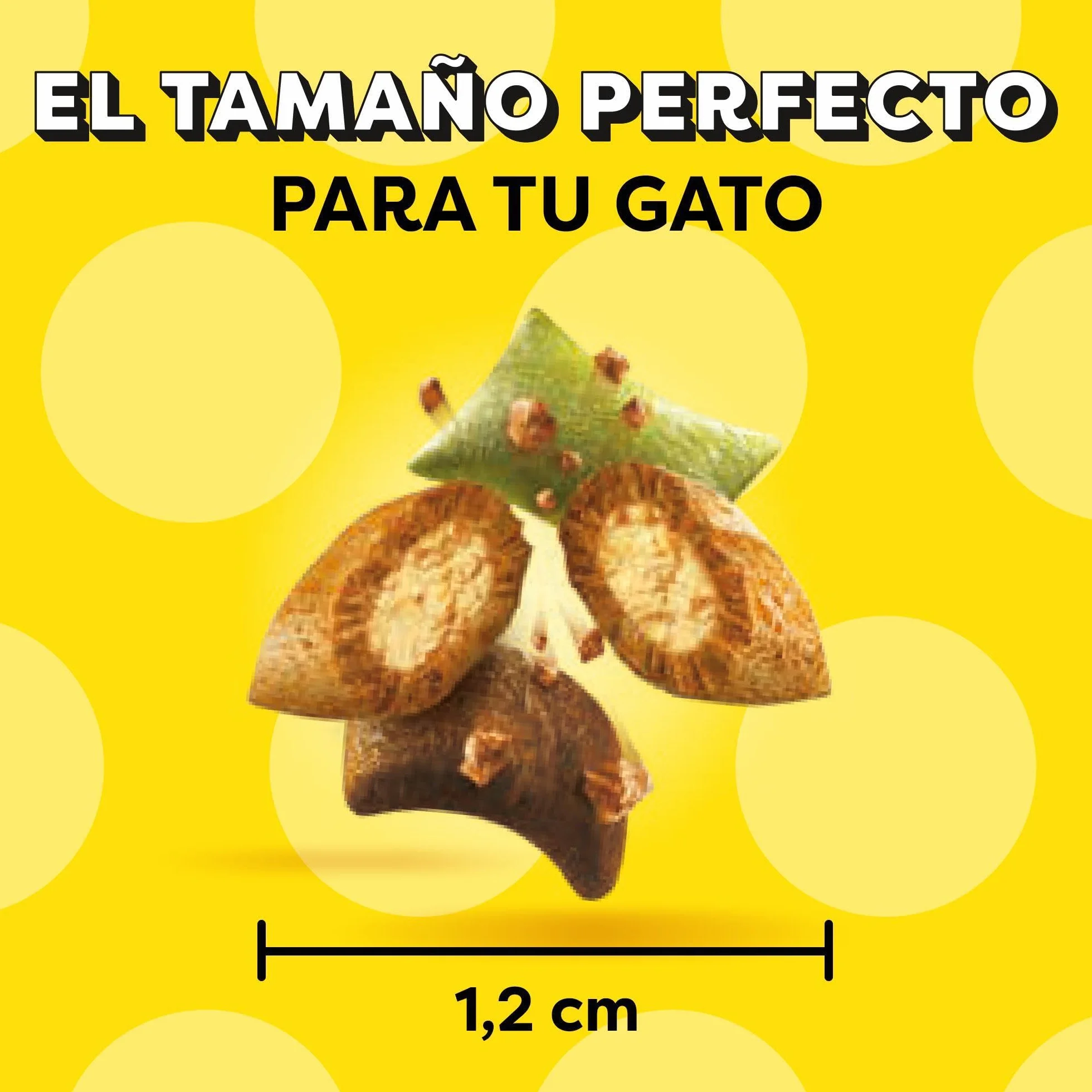 Catisfactions Premios para Gatos Sabor Aves a la Brasa 6x55g