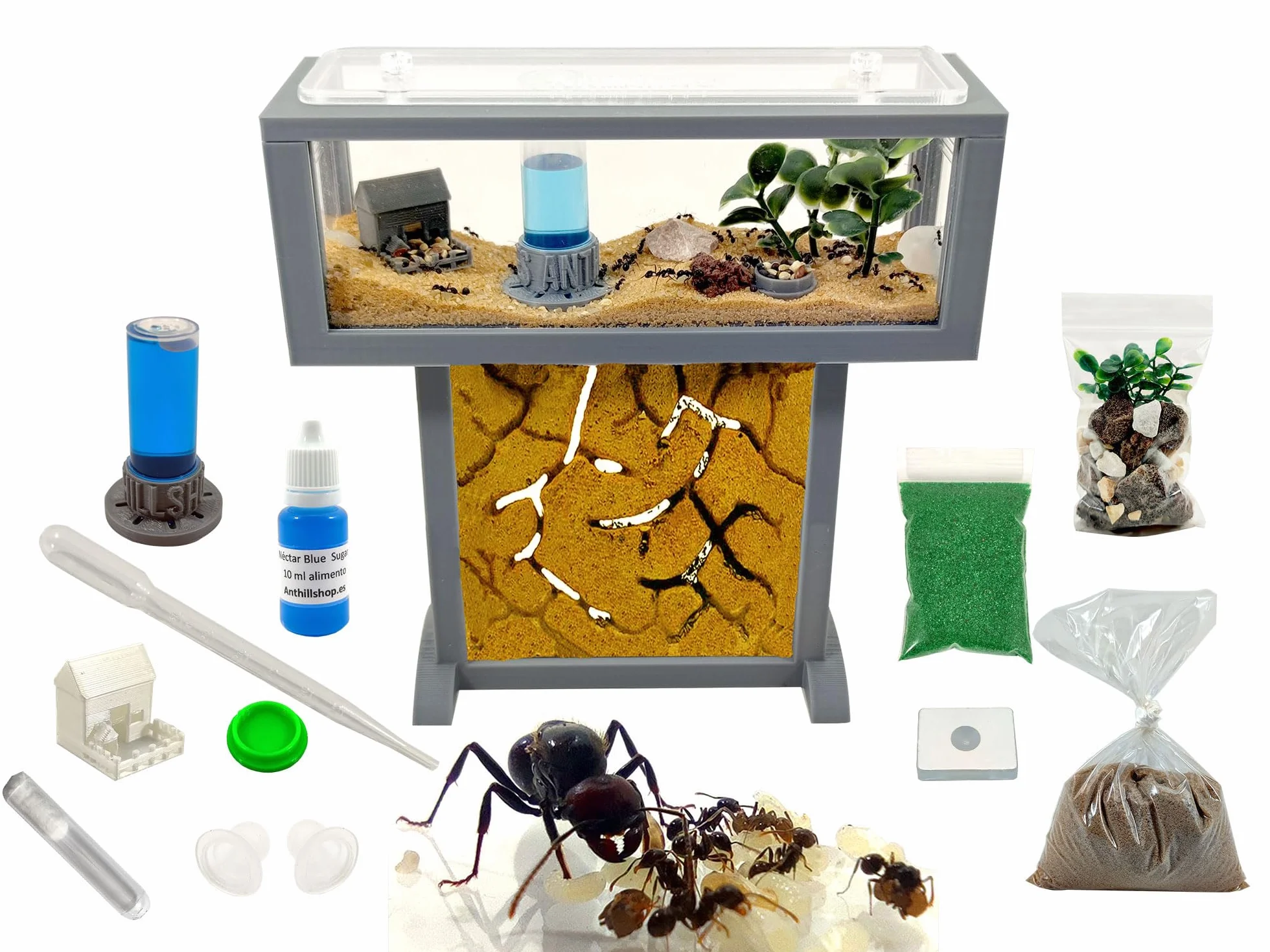 Hormiguero Kit- T- Mini de Arena Natural 15x5x16 - Hormigas Gratis Incluidas┃de 20-30 Hormigas