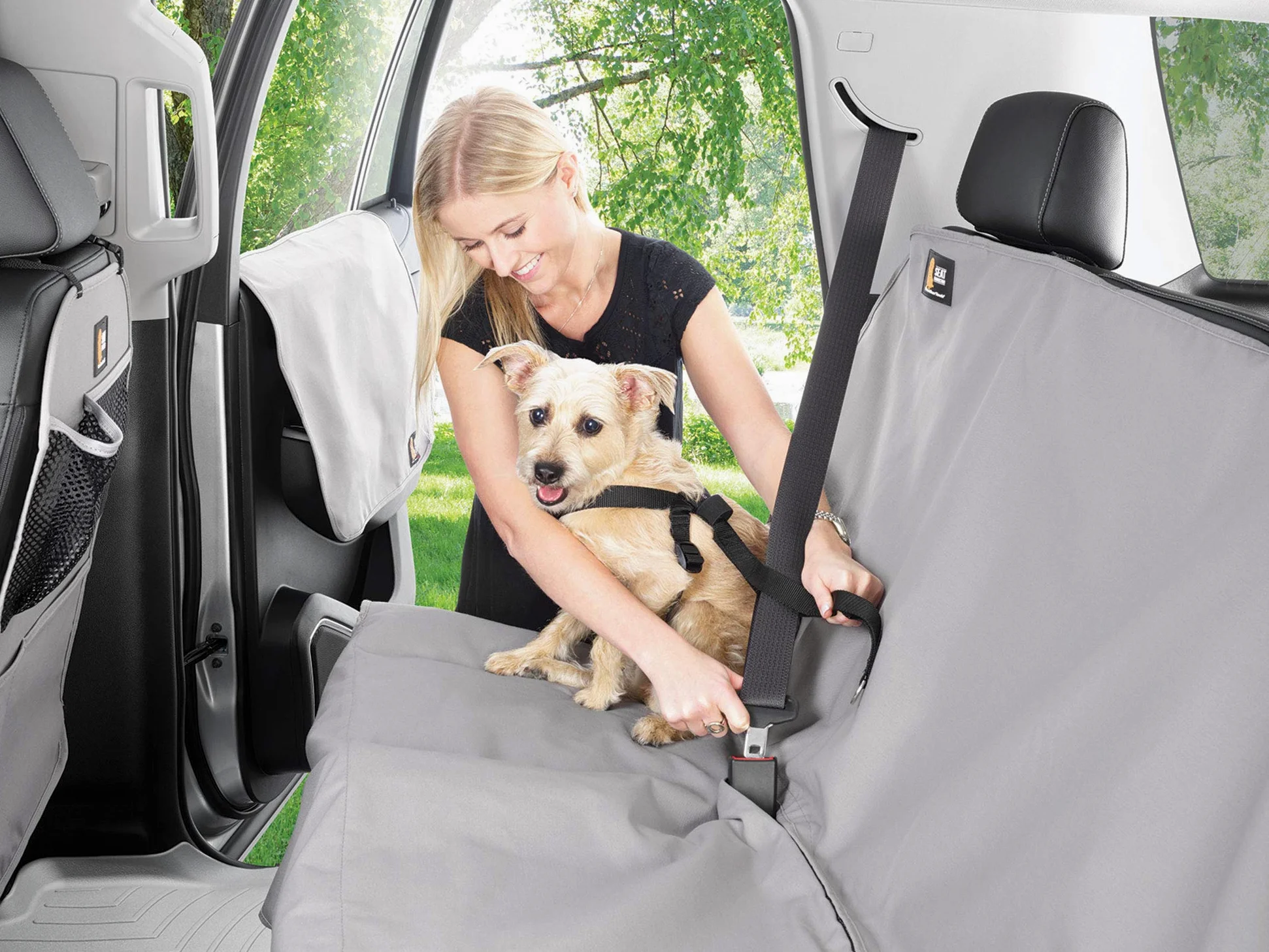 WeatherTech Arnés de seguridad para mascotas, mantiene a tu mascota segura mientras estás en movimiento, color negro pequeño (84PH2427BK)