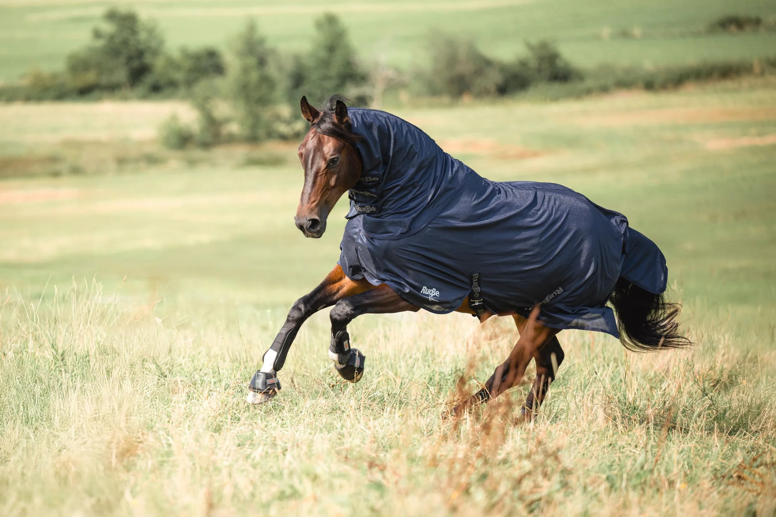 Covalliero Manta antimoscas RugBe SuperFly, manta para caballos, manta de montar, azul marino, 115 cm, 165 cm, caballo, lavable a máquina a 30 °C