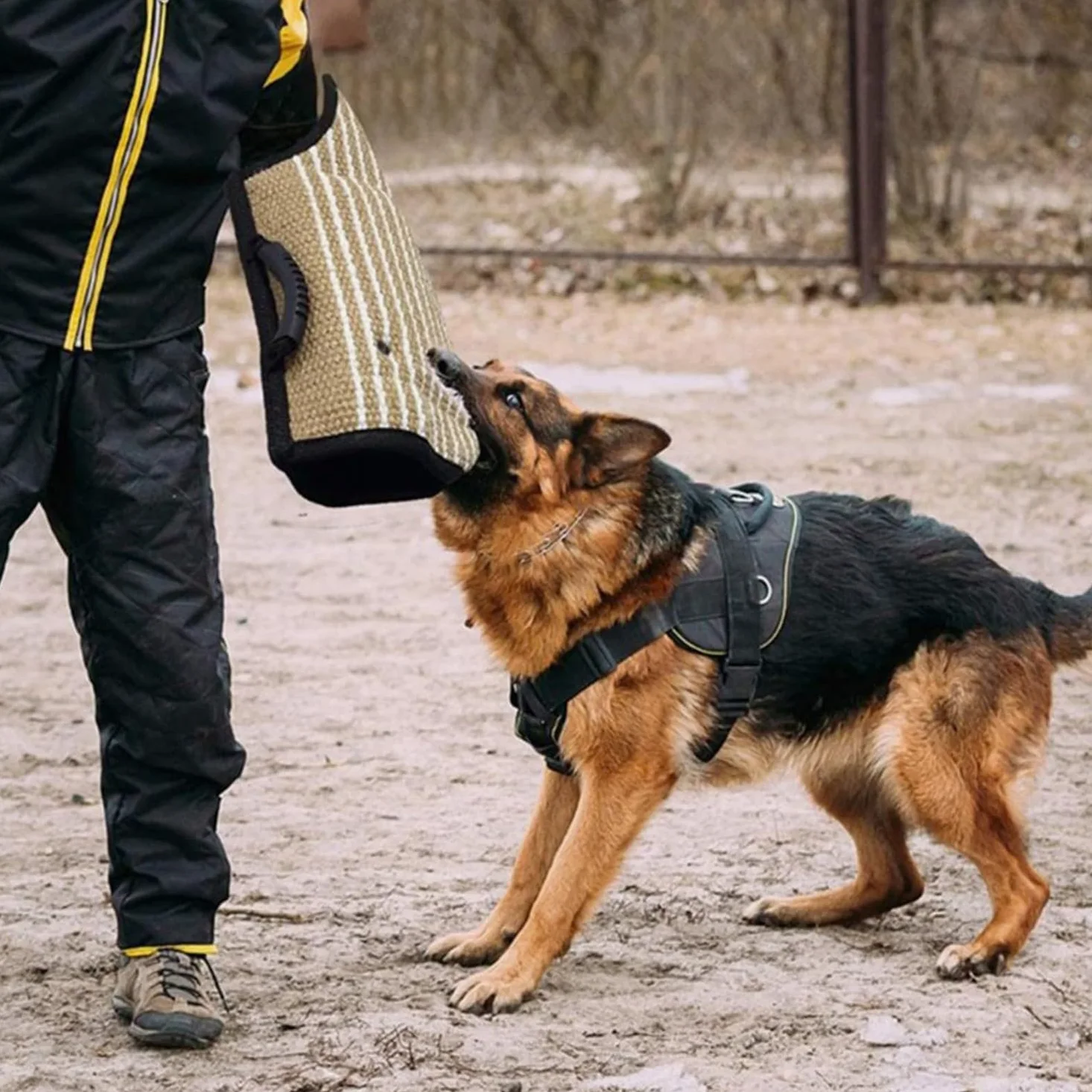 Adiestramiento para Mordeduras De Perro Manga Mordedora para Perros Mangas De Entrenamiento para Perros para Equipo De Adiestramiento Profesional para Adiestrar, Morder, Inter
