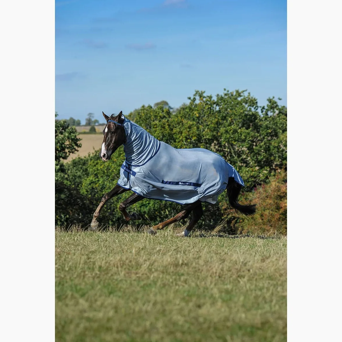 Protector completo contra insectos para caballos con cuello tapado de Bucas, color plateado y azul