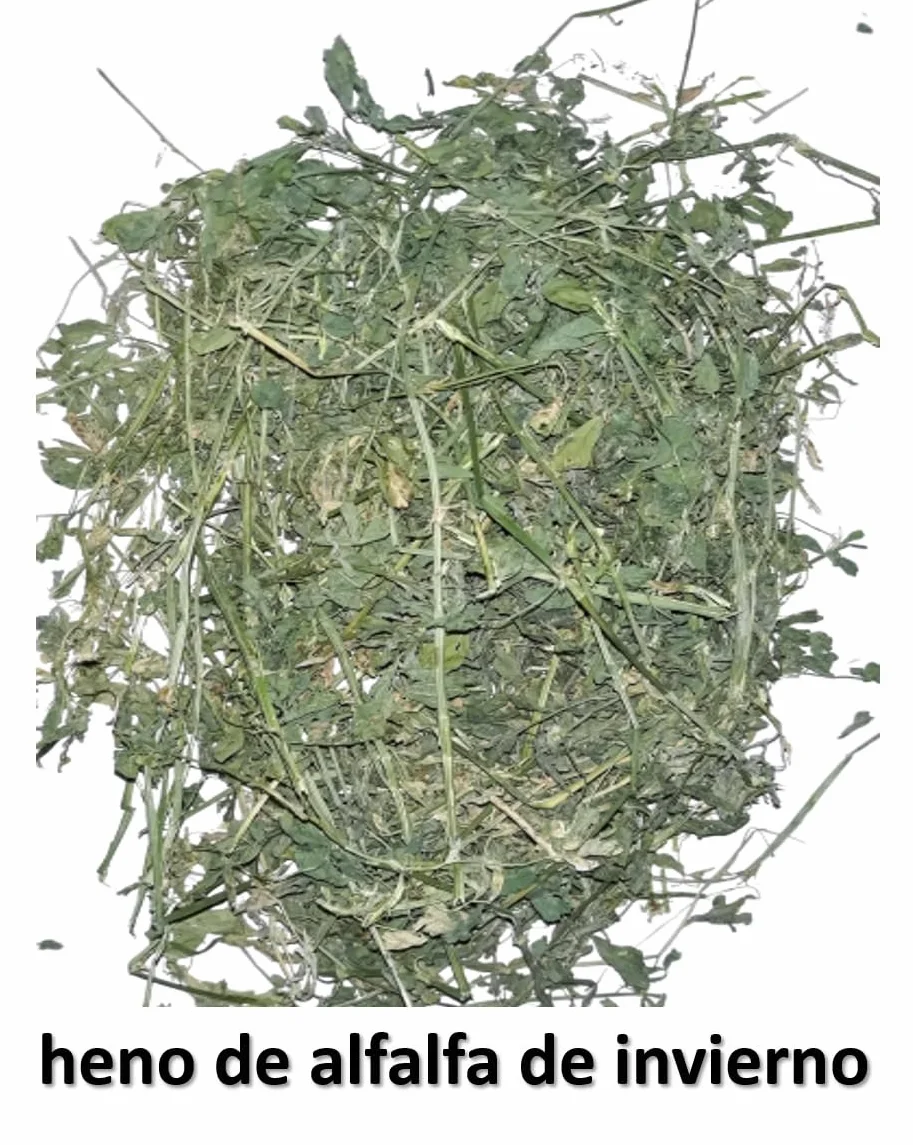 6kg Heno de Alfalfa – Directamente del Agricultor en España