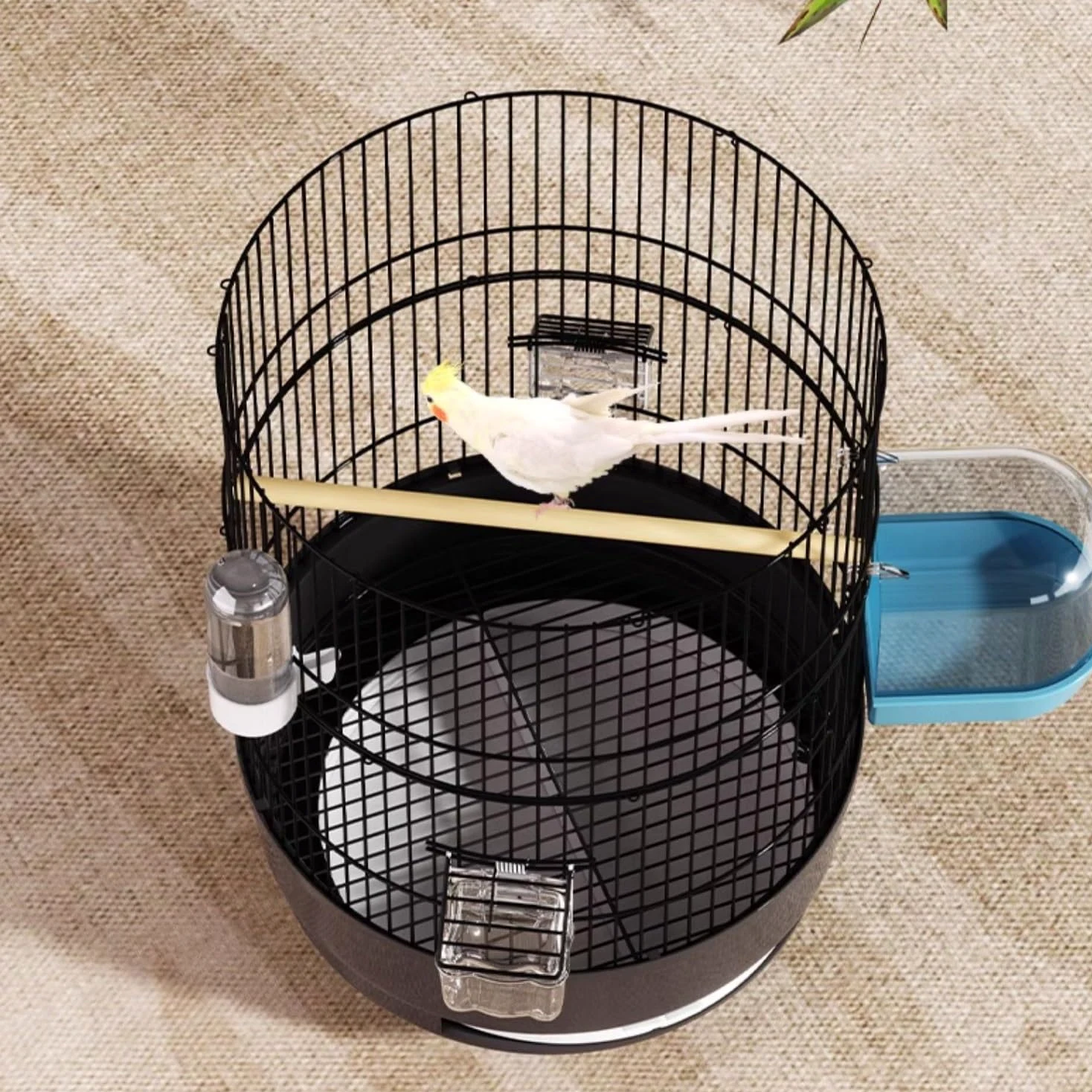 Jaula Redonda de Metal para Pájaros, Resistente y Ventilada, Jaula Loro para Agapornis, Periquitos, Voladera para Interiores y Exteriores(Black)