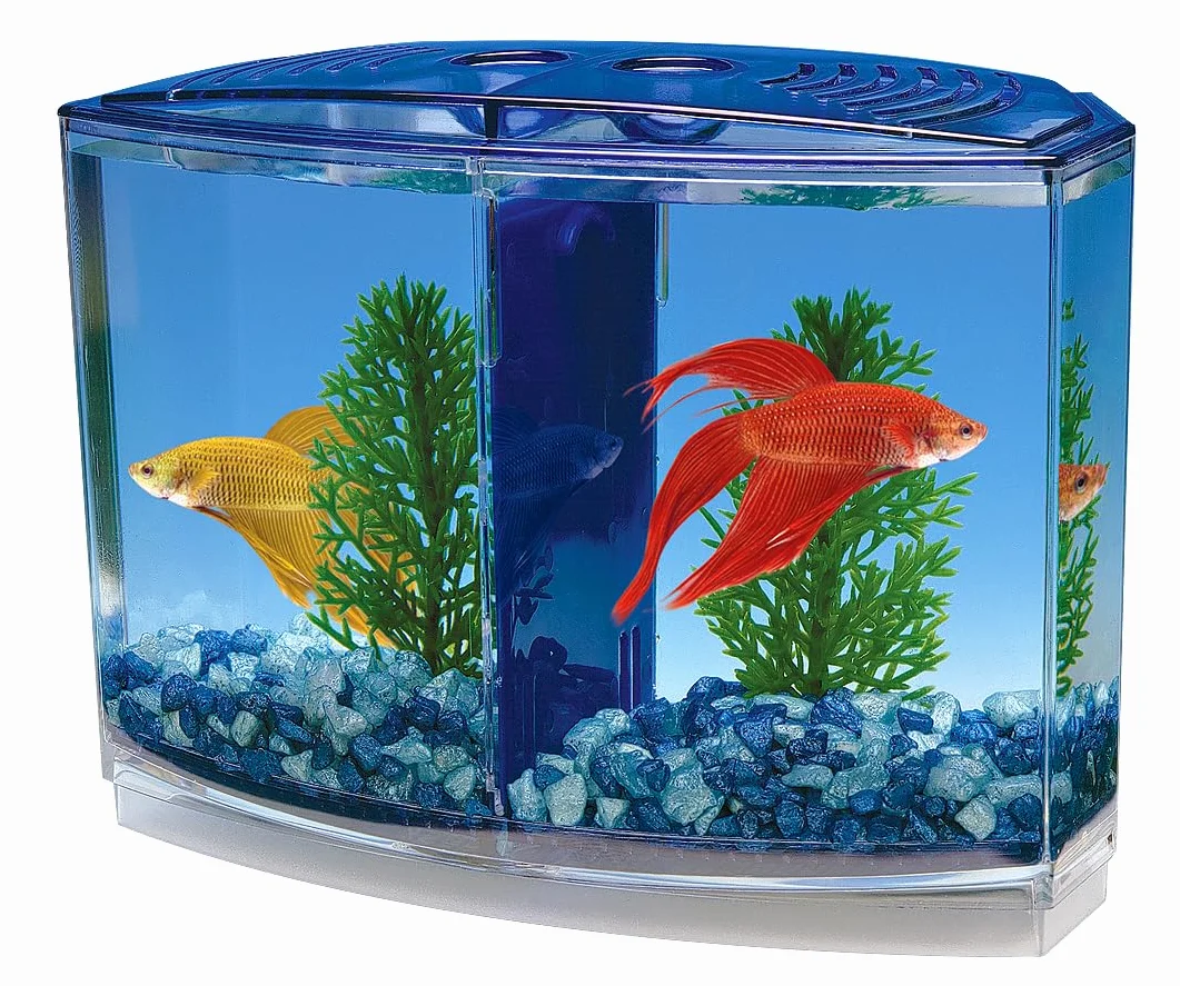 Penn-Plax Kit Doble Betta Bow-Front para Acuario Azul, Verde, Tanque Mide 19 cm en la Parte Delantera, 15 cm en la Parte Posterior