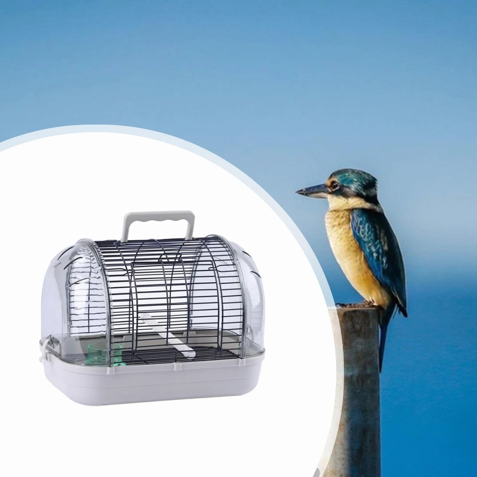 Fenteer Transportador de Aves para Loros Y Periquitos, Diseño Práctico, L Gray