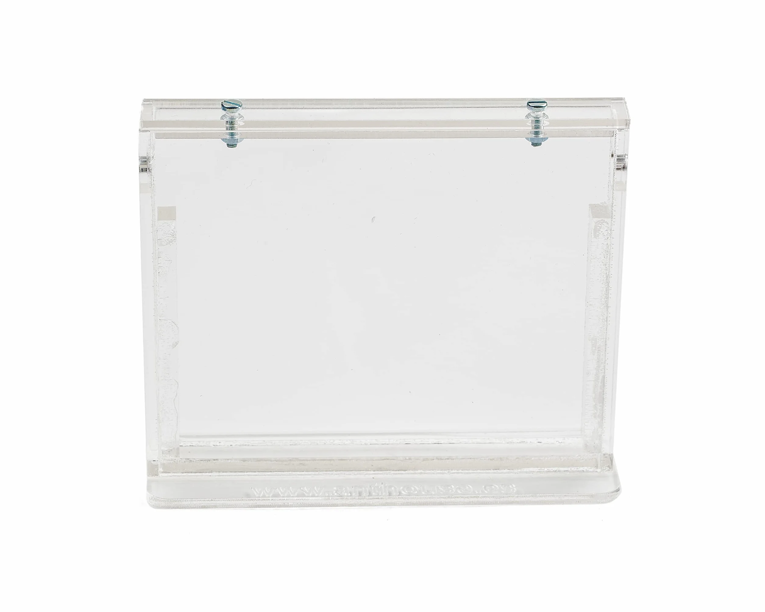 Anthouse.es - Hormiguero Natural de Arena - Kit Hormiguero Acrílico Básico (Sándwich + Caja de Forrajeo) - Granja de Hormigas con Colonia de Hormigas Incluida - 12x10x 1 cm y 18x10x5 cm