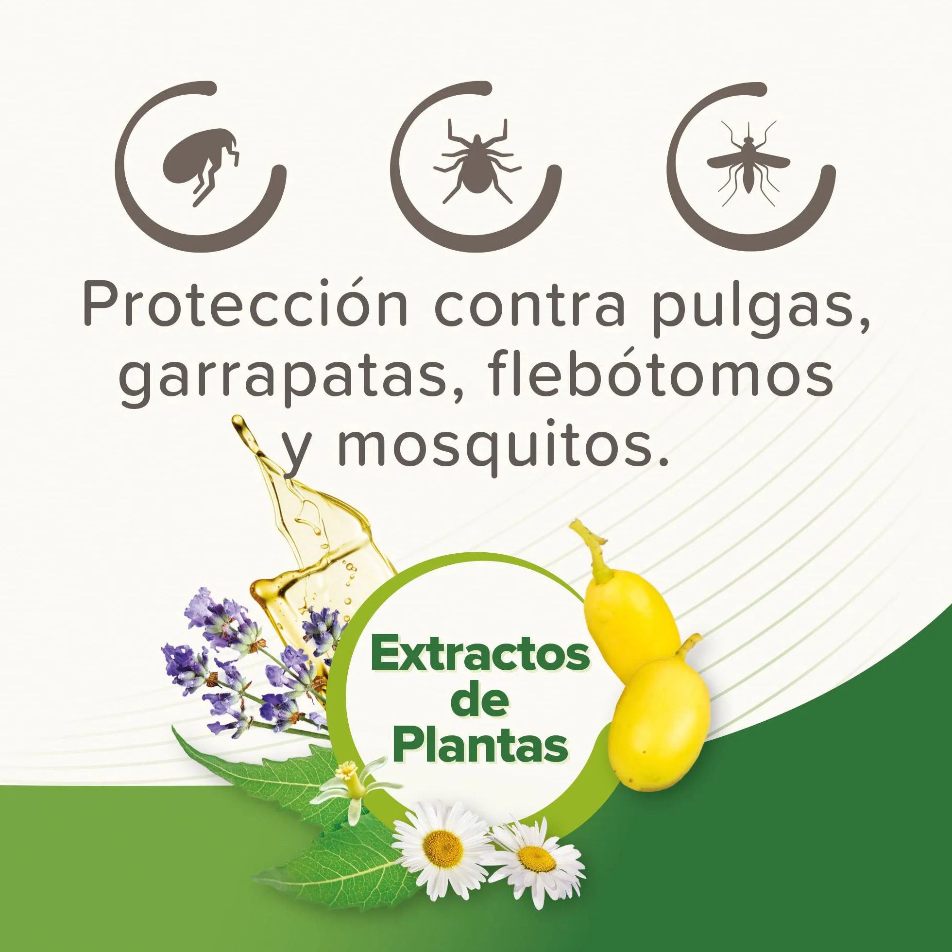 Beaphar Pipetas repelentes Naturales para Gatos - 3 Meses de protección Natural contra garrapatas, pulgas y Mosquitos - para Todo Tipo de Gatos - 3 pipetas de 1ml, El embalaje puede variar