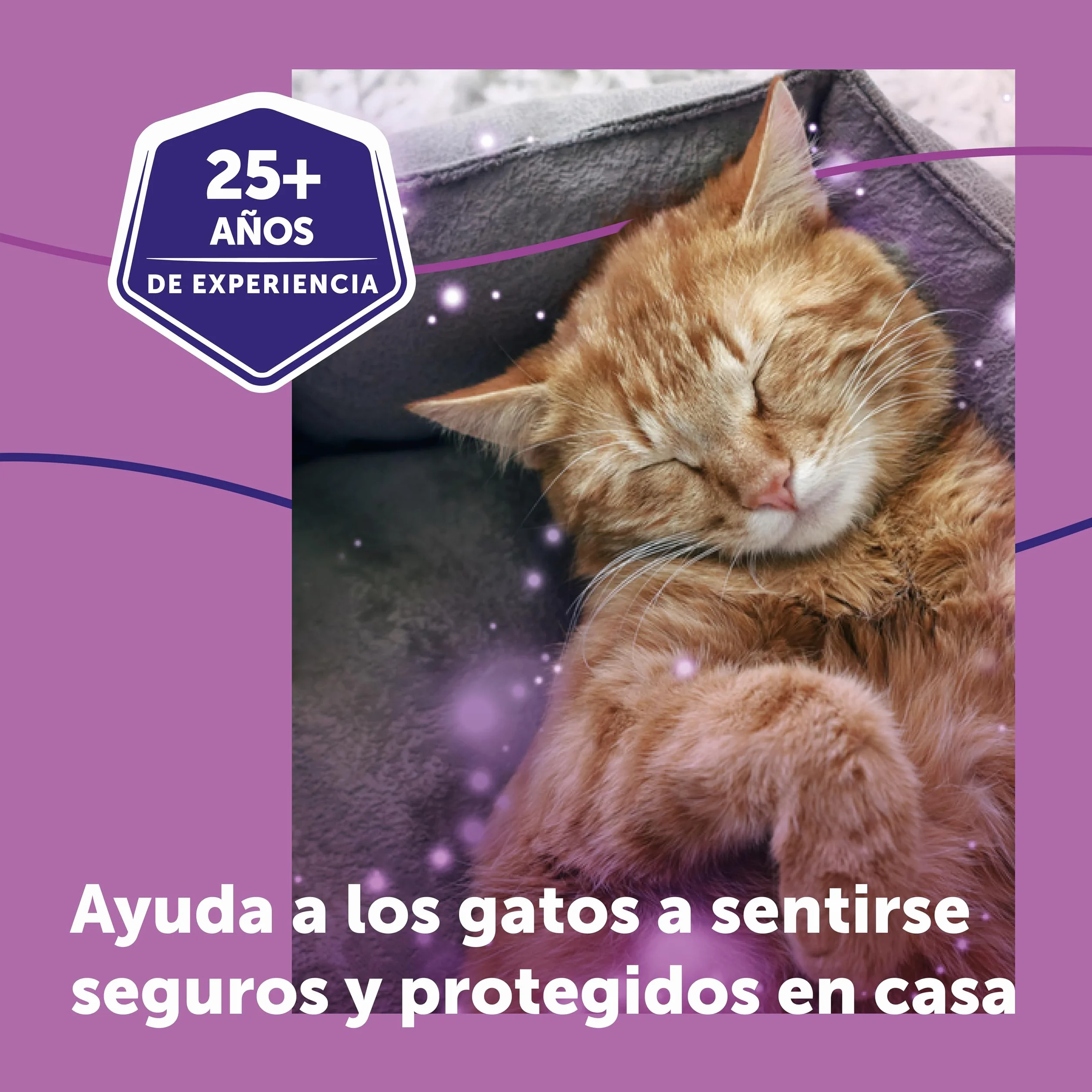 FELIWAY Classic - Difusor + Recambio de feromonas calmantes para gatos (30 días, 48 ​​ml) - Ayuda a reducir los signos más comunes de estrés. Recomendado por veterinarios. Tranquilidad y bienestar.