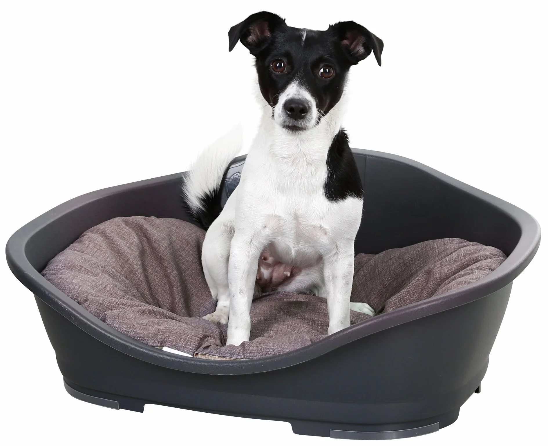 Kerbl Pet Cojín para Perros Loneta, Beige/Gris, 105 x 73 cm. Cojín para Mascotas de algodón/poliéster Resistente, Lavable a 30 °C.