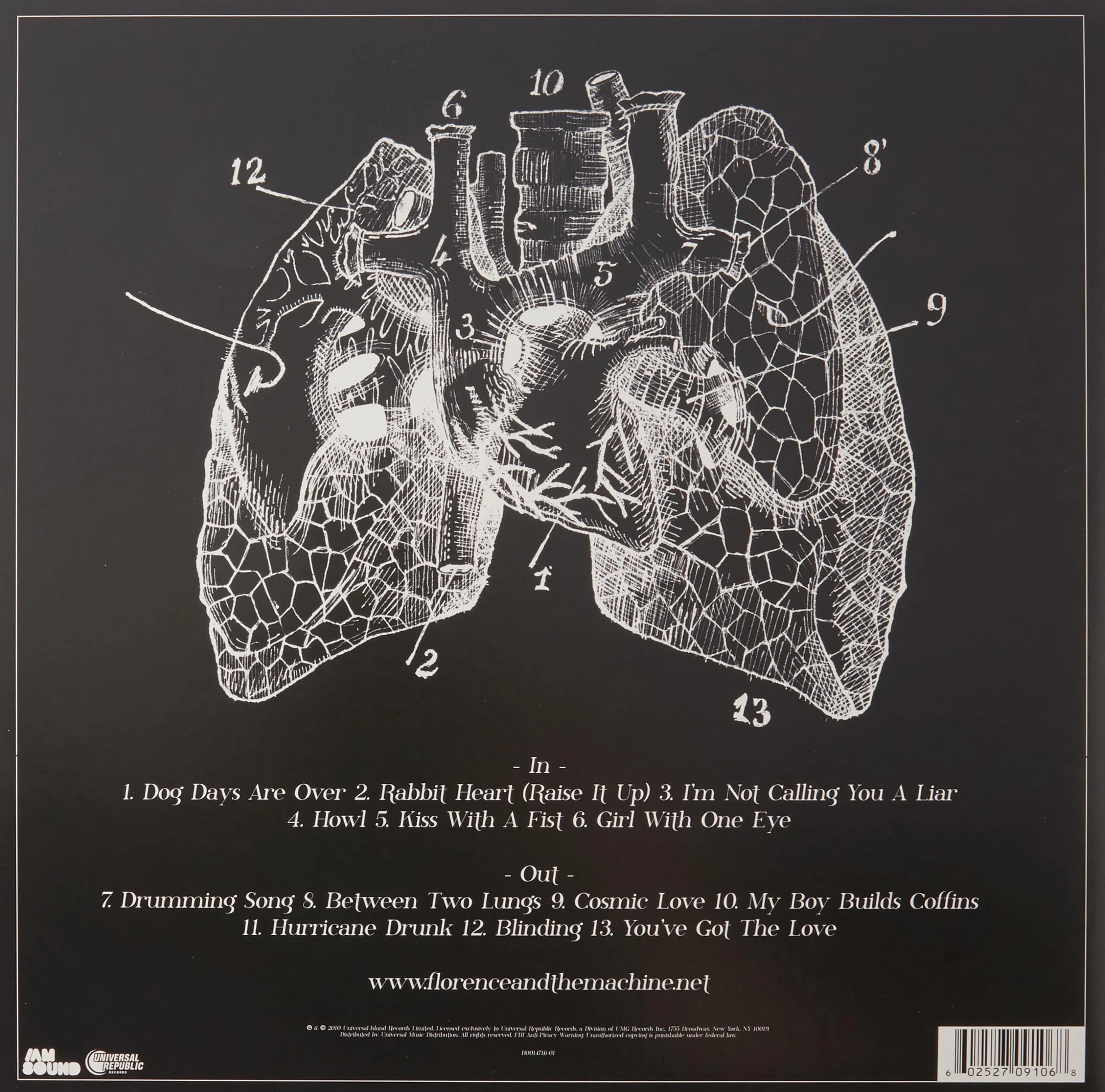 Lungs