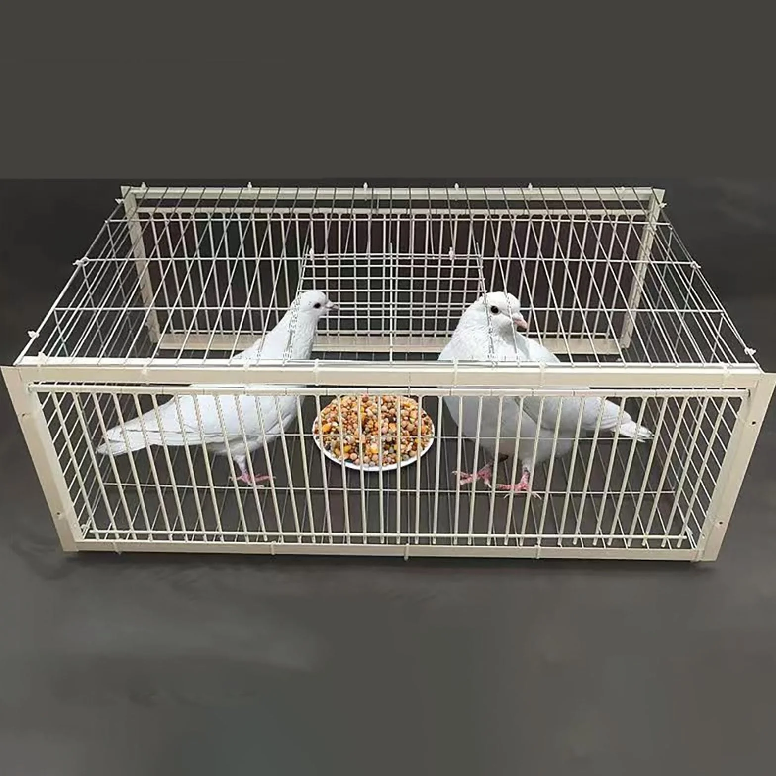 Jaula de trampa para palomas, palomas, loros, atrapador eficaz para carreras y cría, solución duradera para puerta de ventana